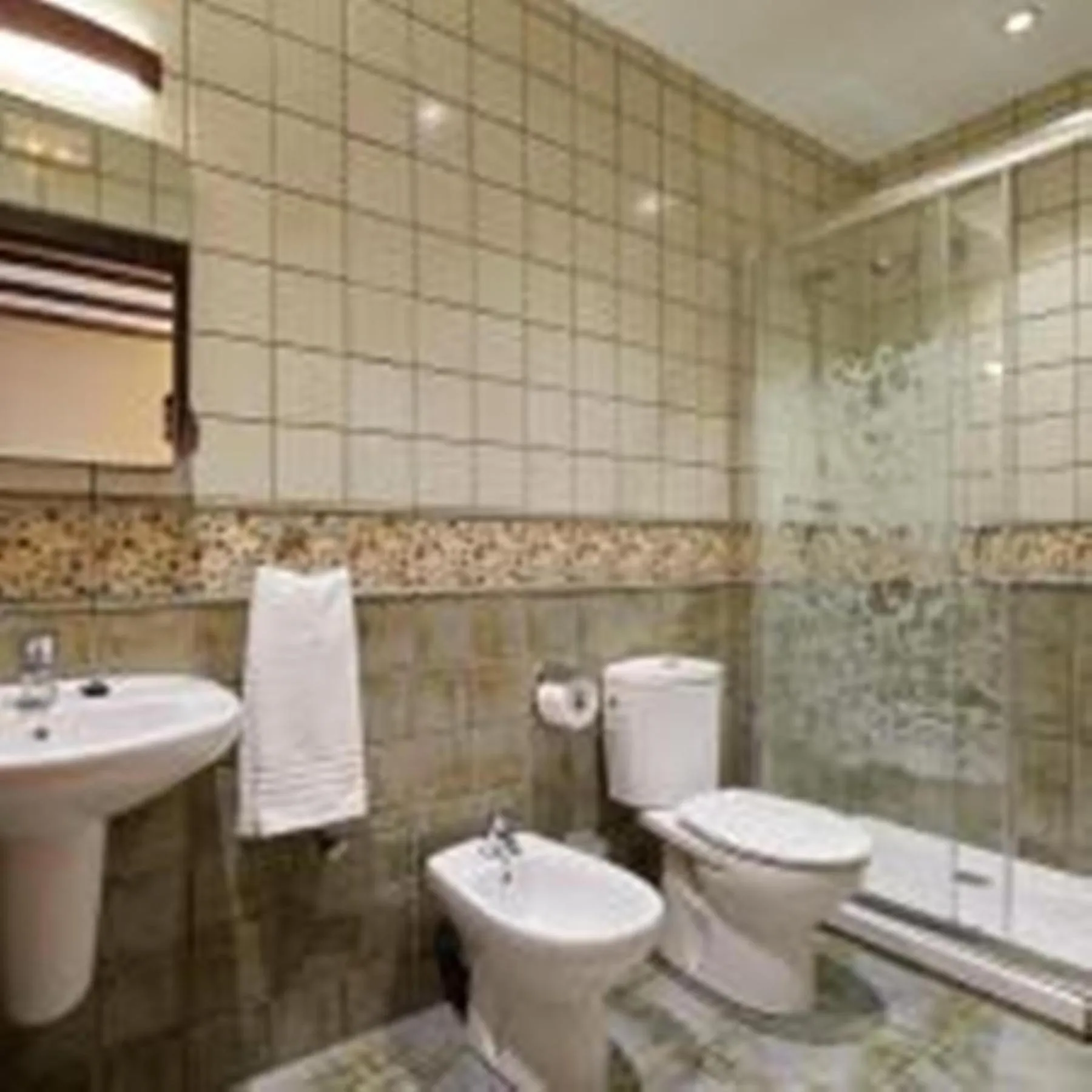 Shower in Hotel Txoriene - Arrieta - HBI01298