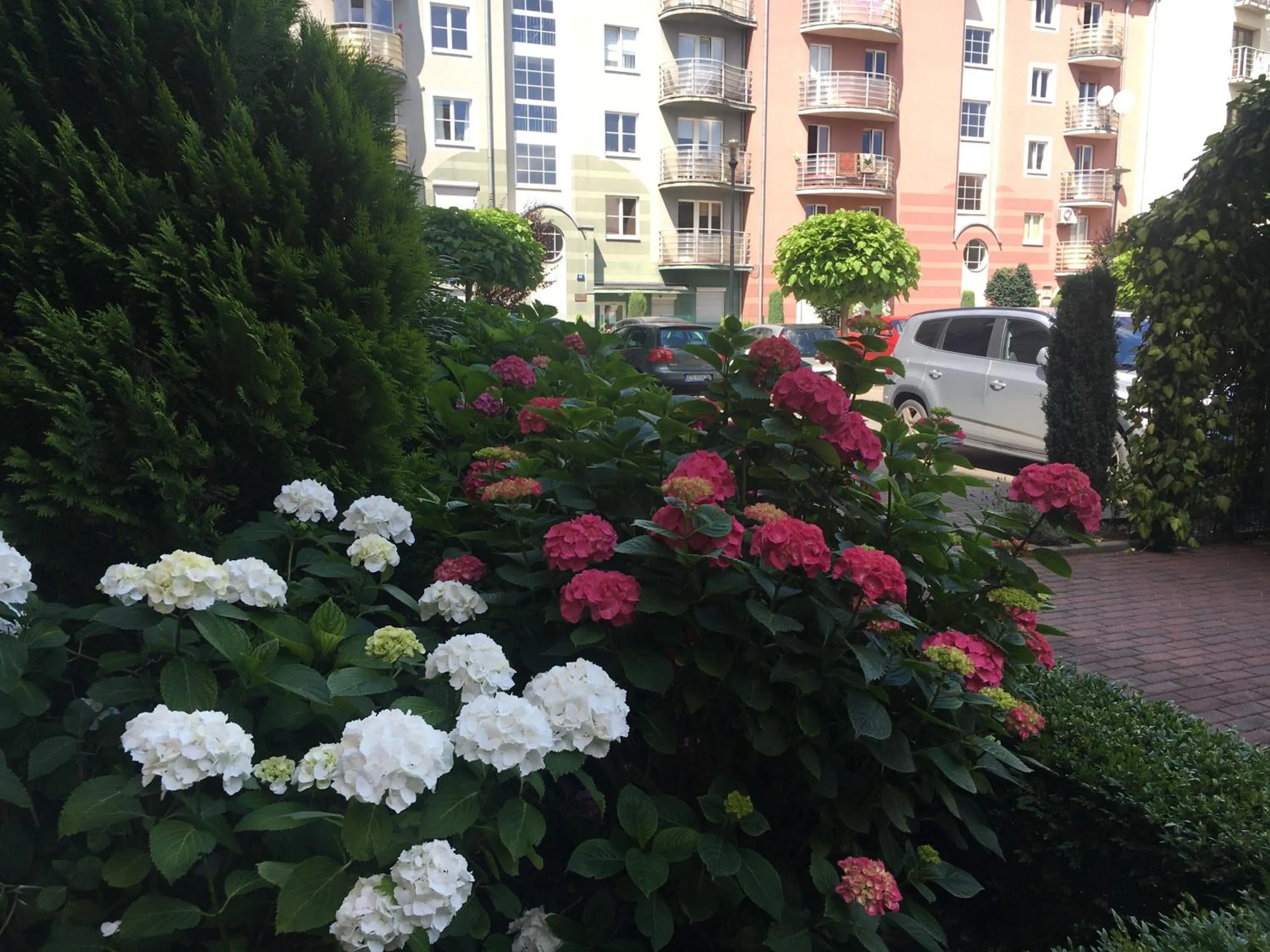 Garden in Hostel Annamarie