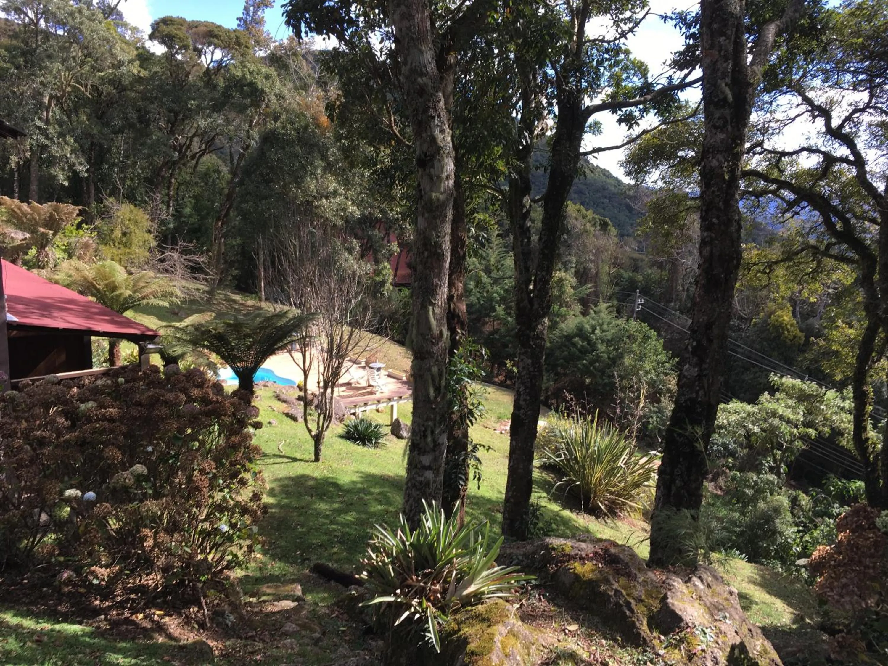 Garden in Pousada VillaSerrana