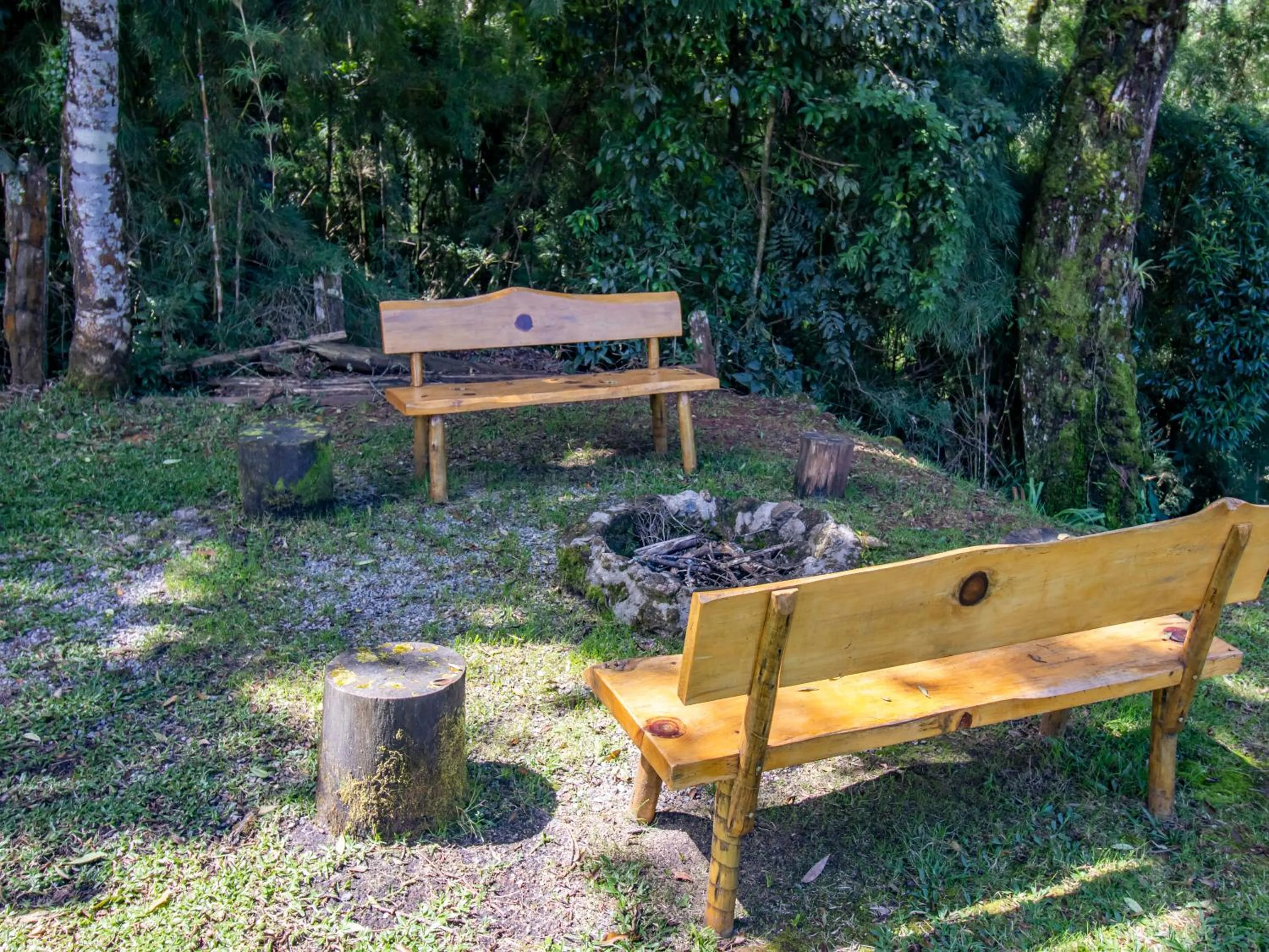 Garden in Pousada VillaSerrana