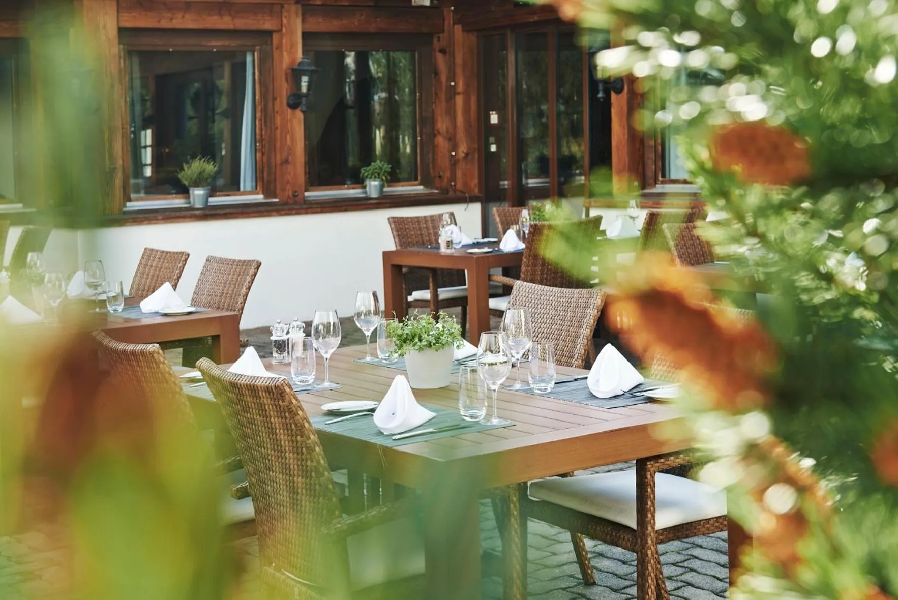 Restaurant/places to eat in Hotel Waldhuus