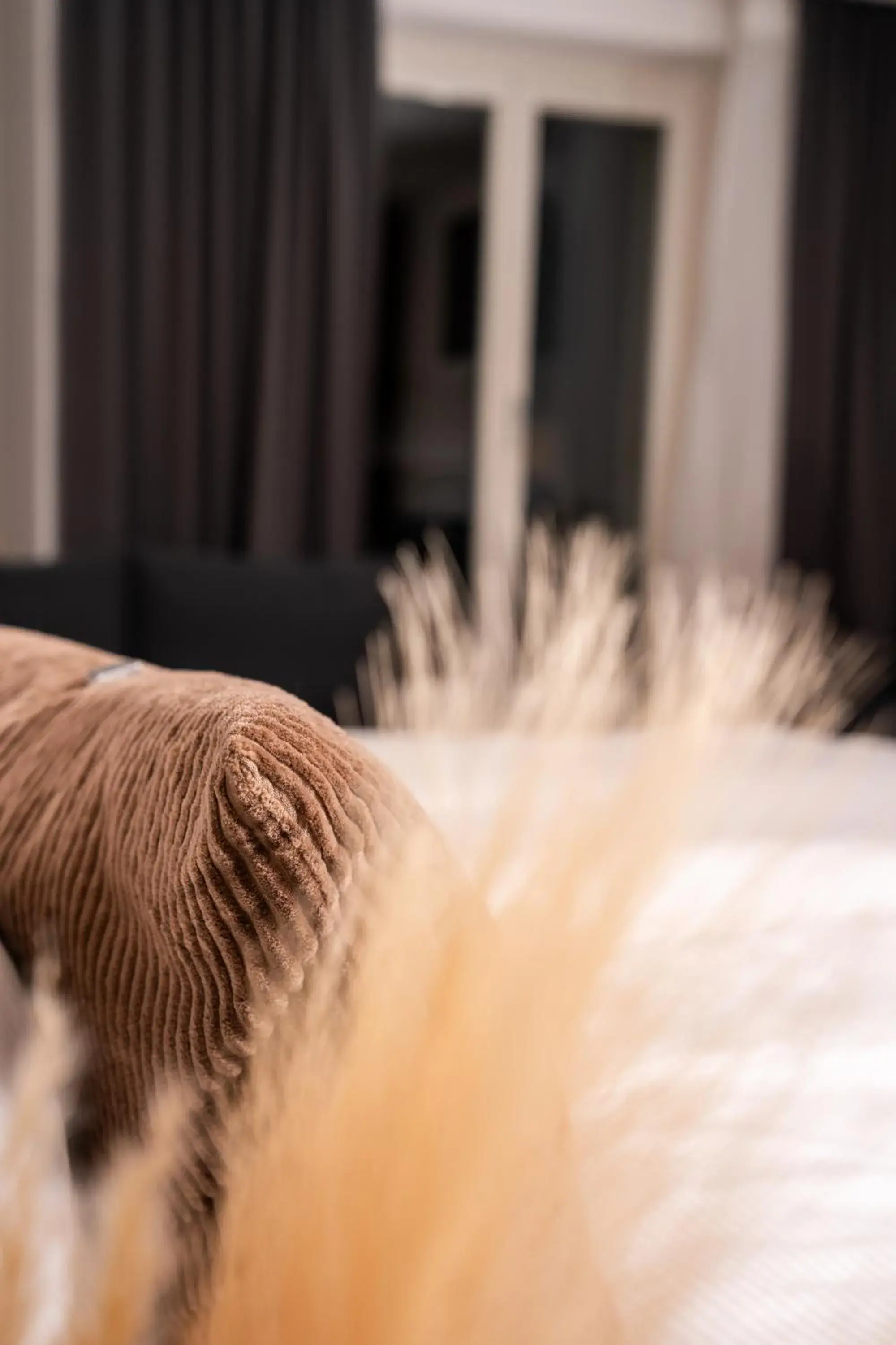 Double Room in Hotel Baslertor Double Room in Hotel Baslertor