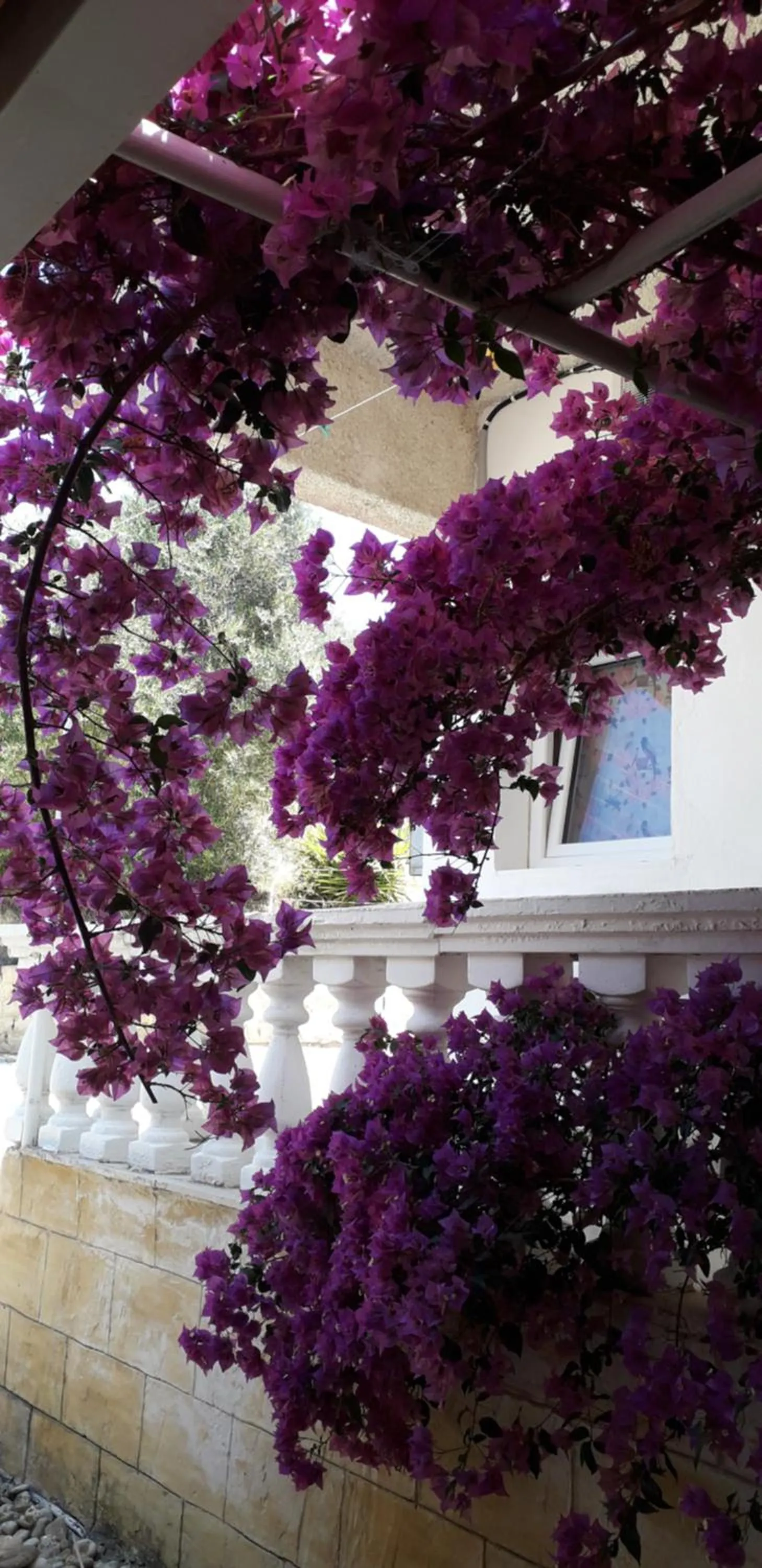 Property building in Pension Nychterida