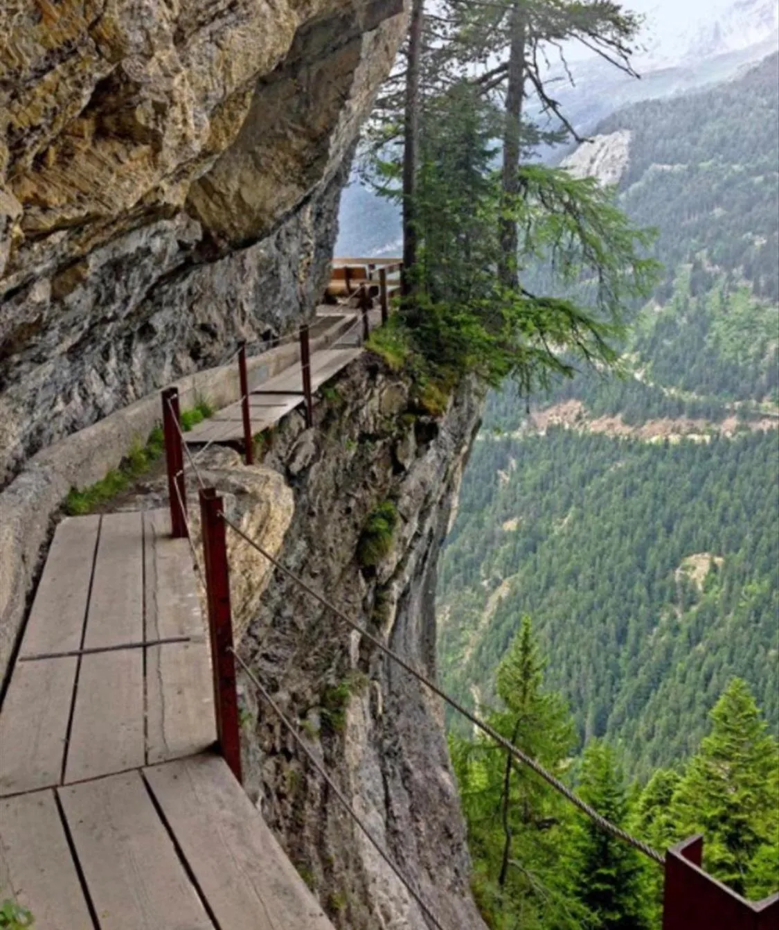 Natural landscape in Hotel Casino