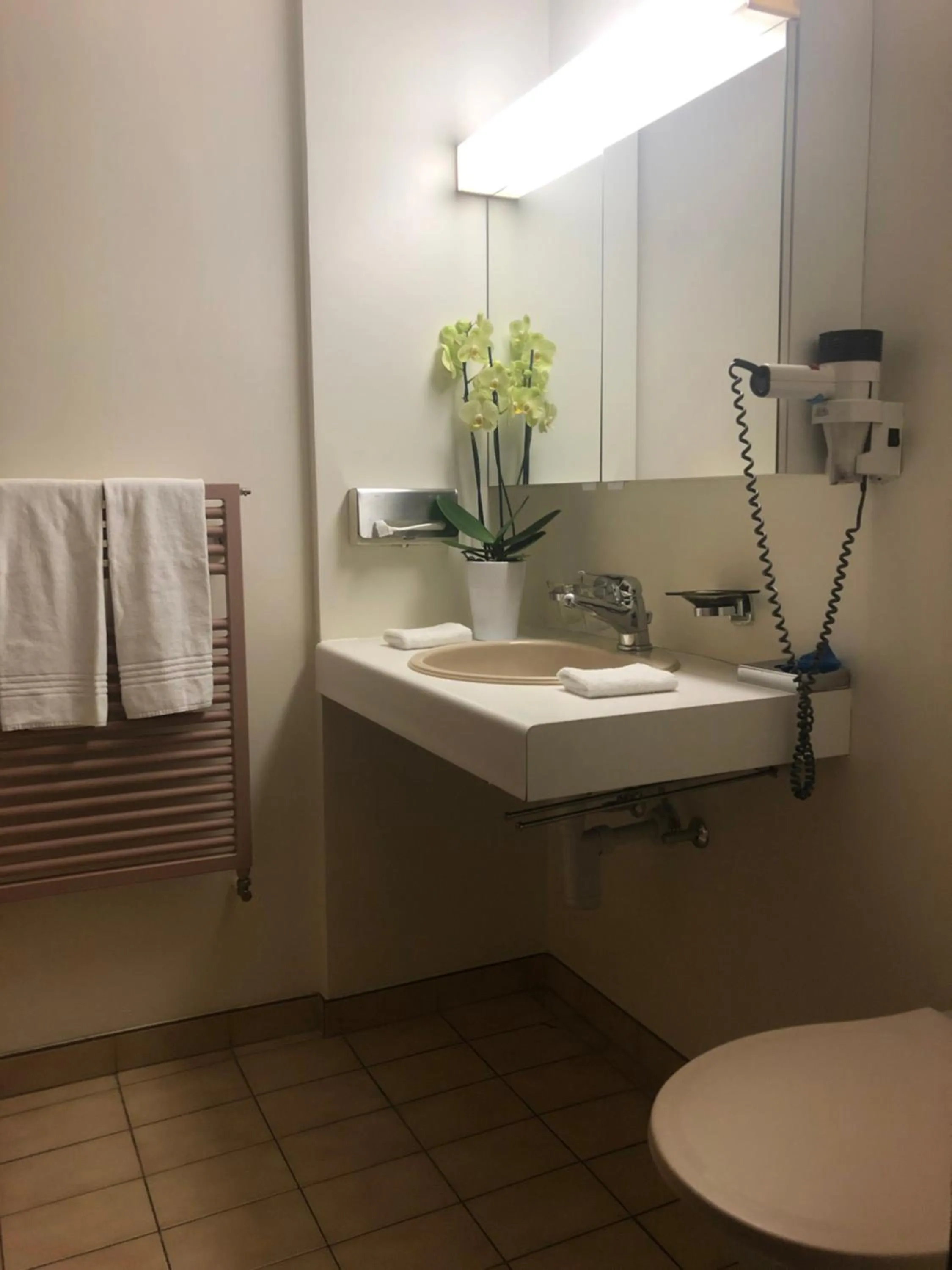 Bathroom in Hotel Casino