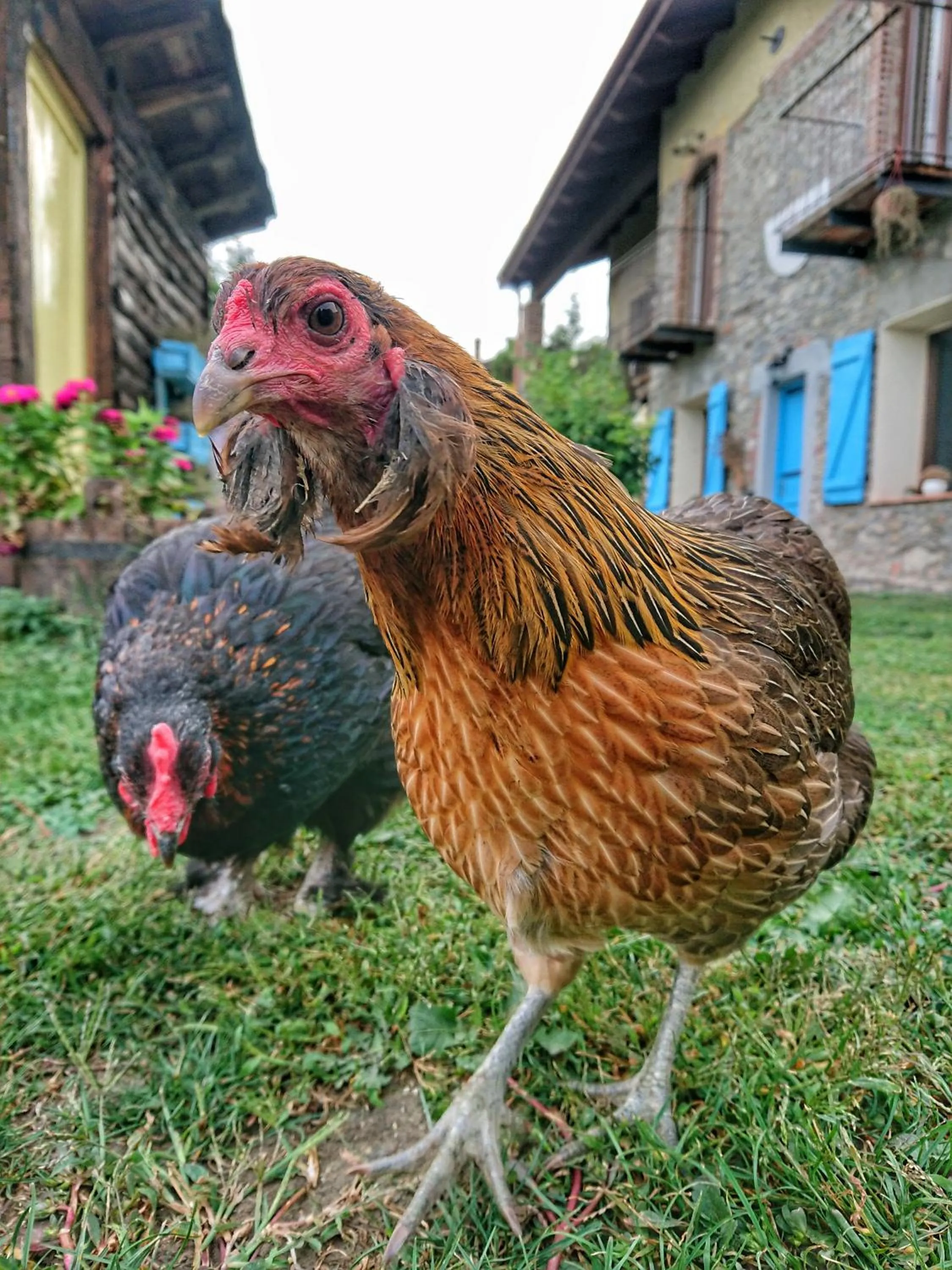 B&B La casa dei cuori
