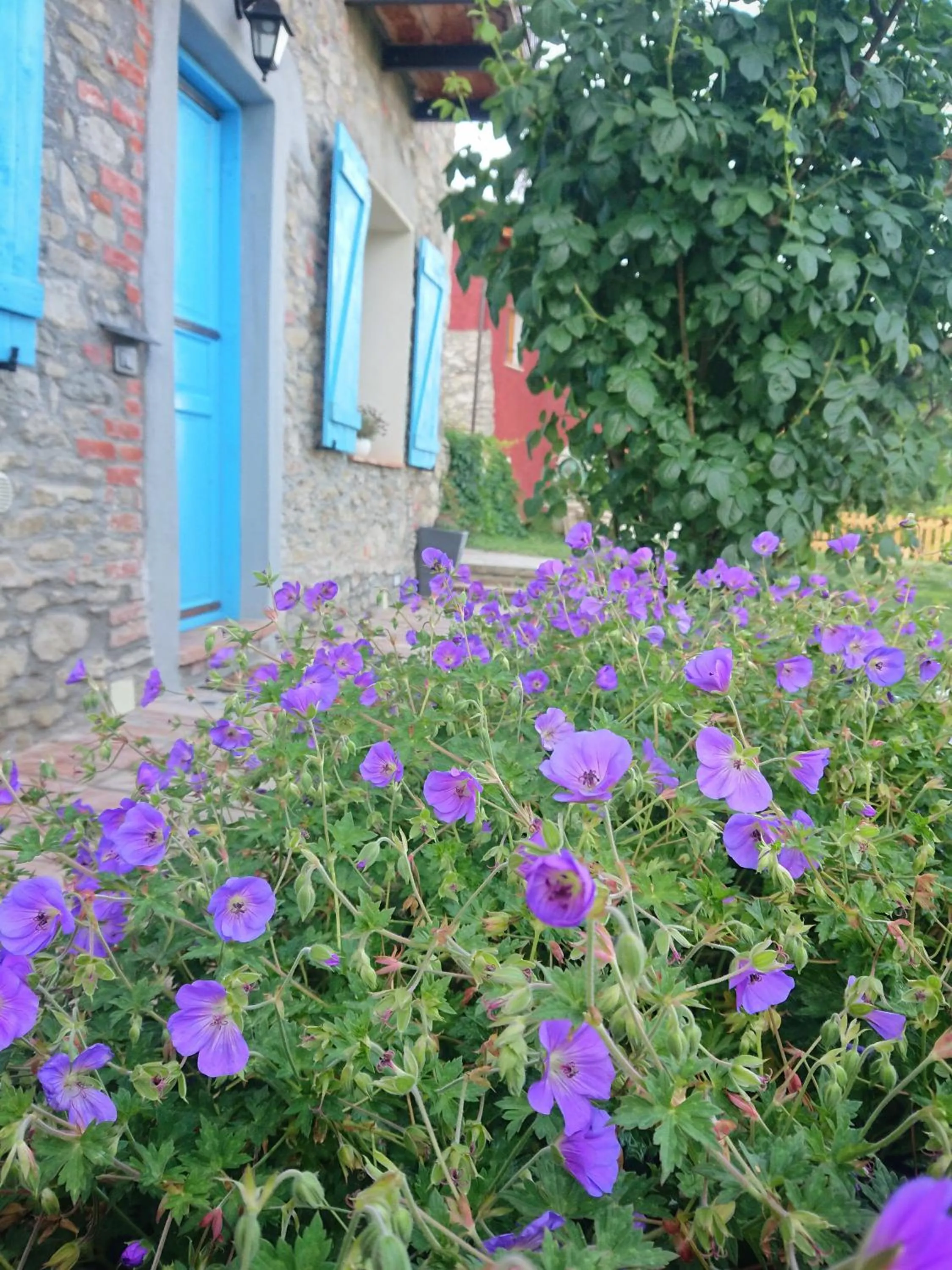 B&B La casa dei cuori