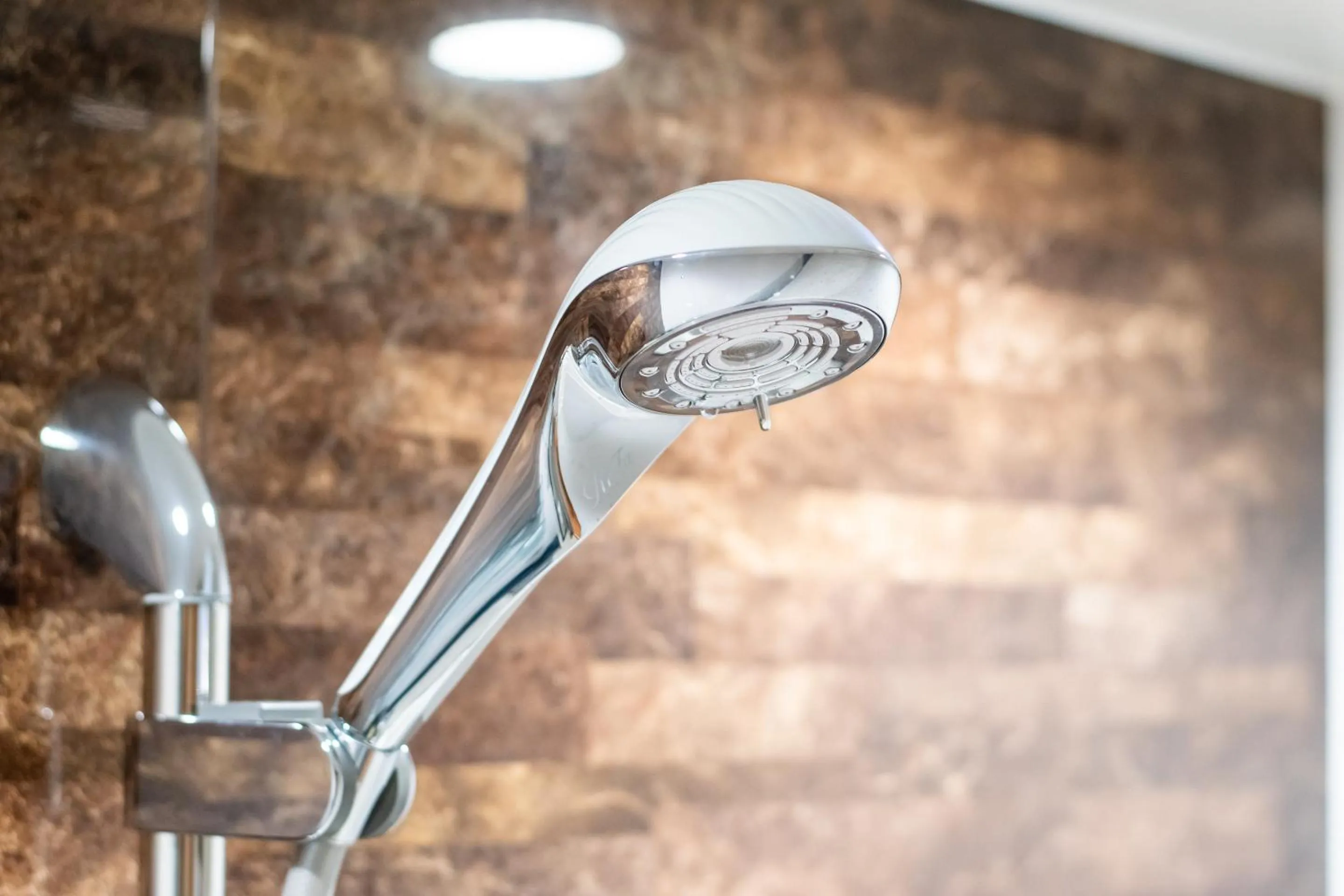 Shower in Hotel Rokune