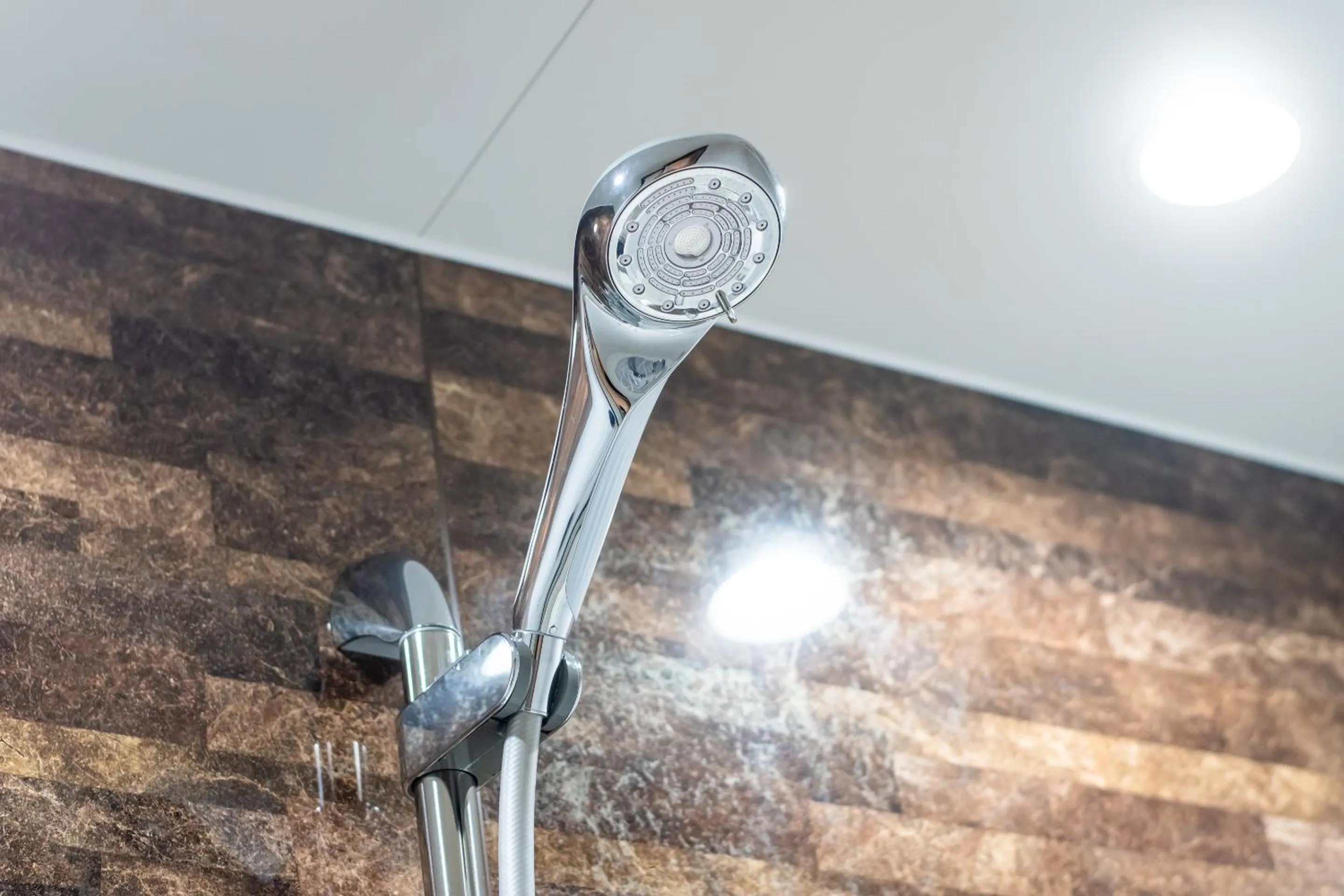 Shower in Hotel Rokune