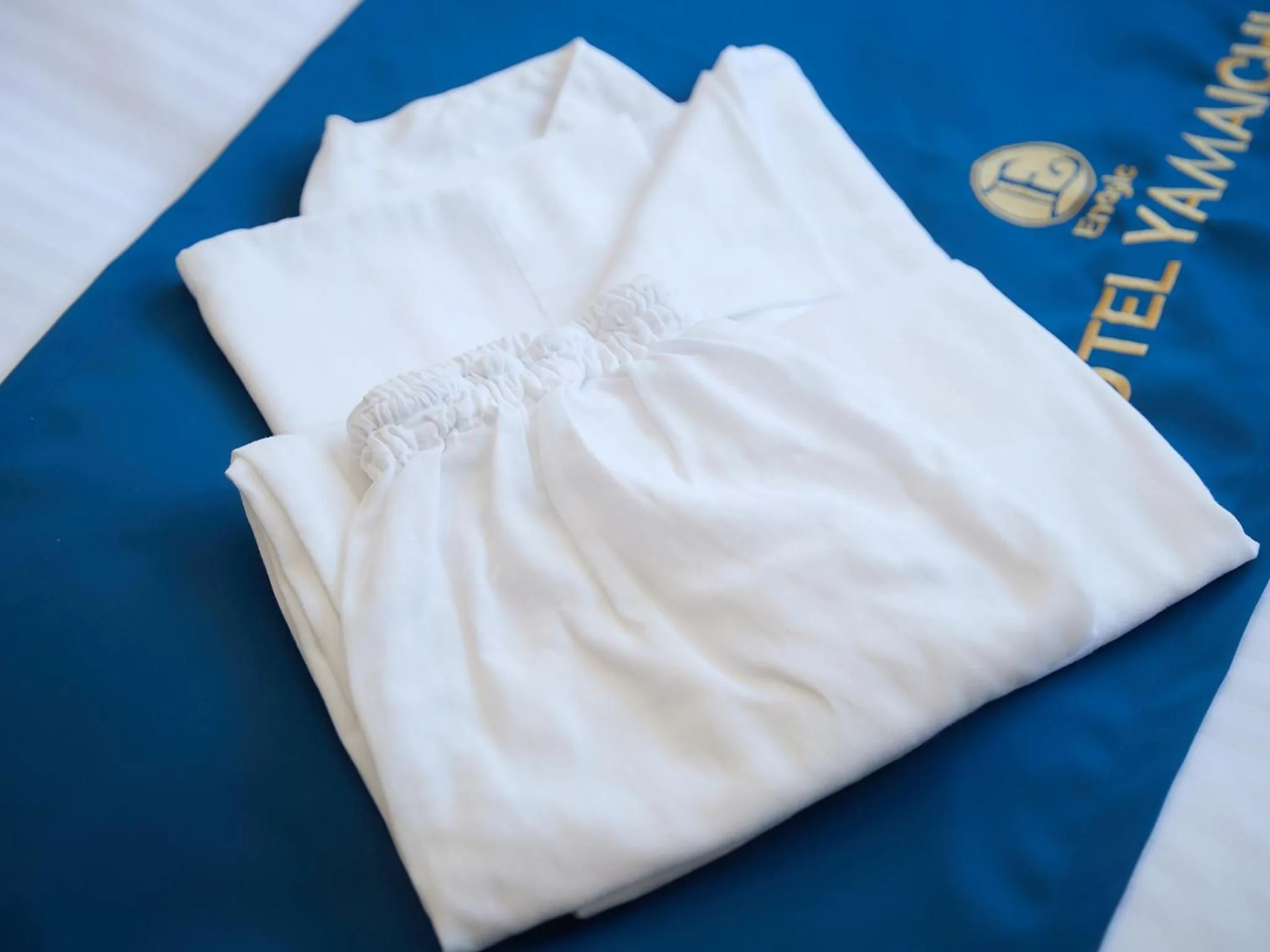 Photo of the whole room, Bed in エナジックホテル山市 Enagic HOTEL YAMAICHI