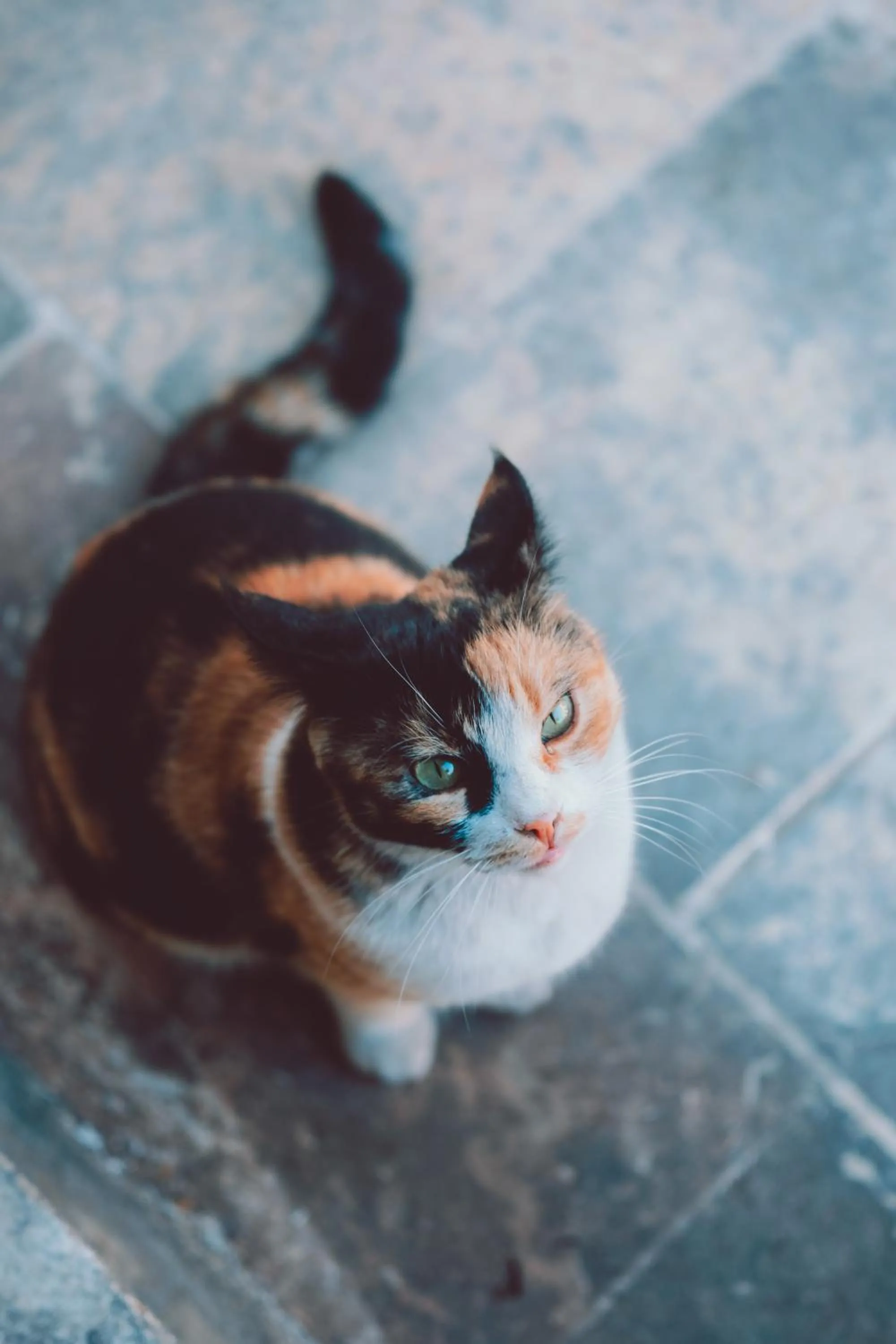 Narlı Ev Butik Otel