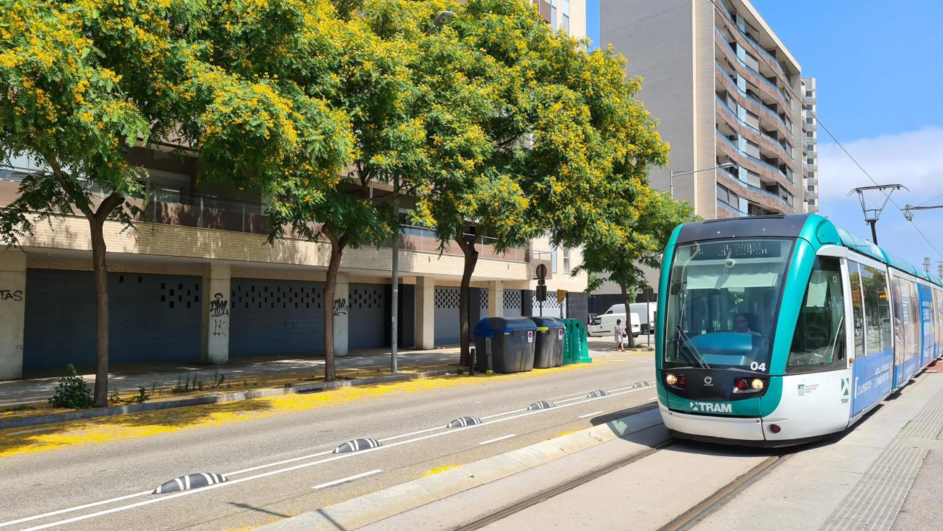 Forum-CCIB-Relax Flats