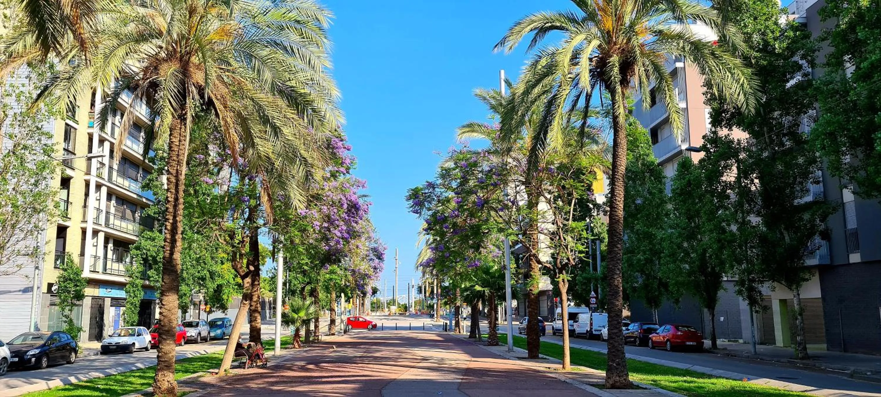 Forum-CCIB-Relax Flats