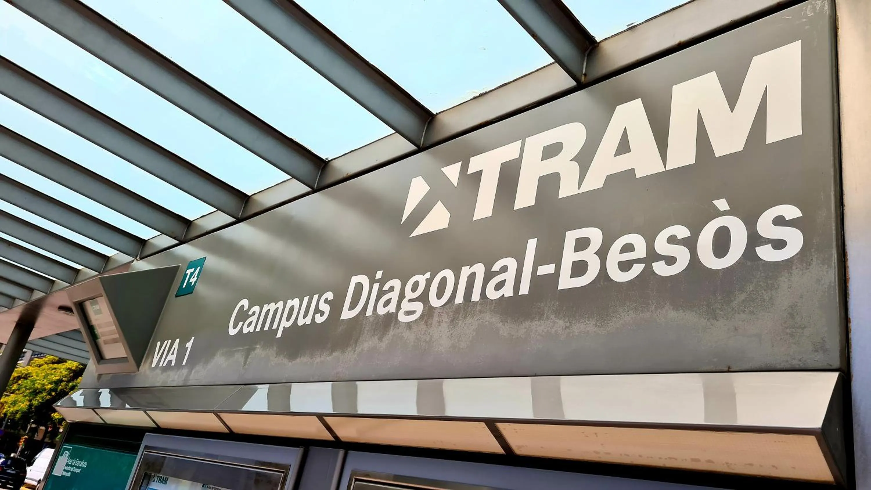 Forum-CCIB-Relax Flats