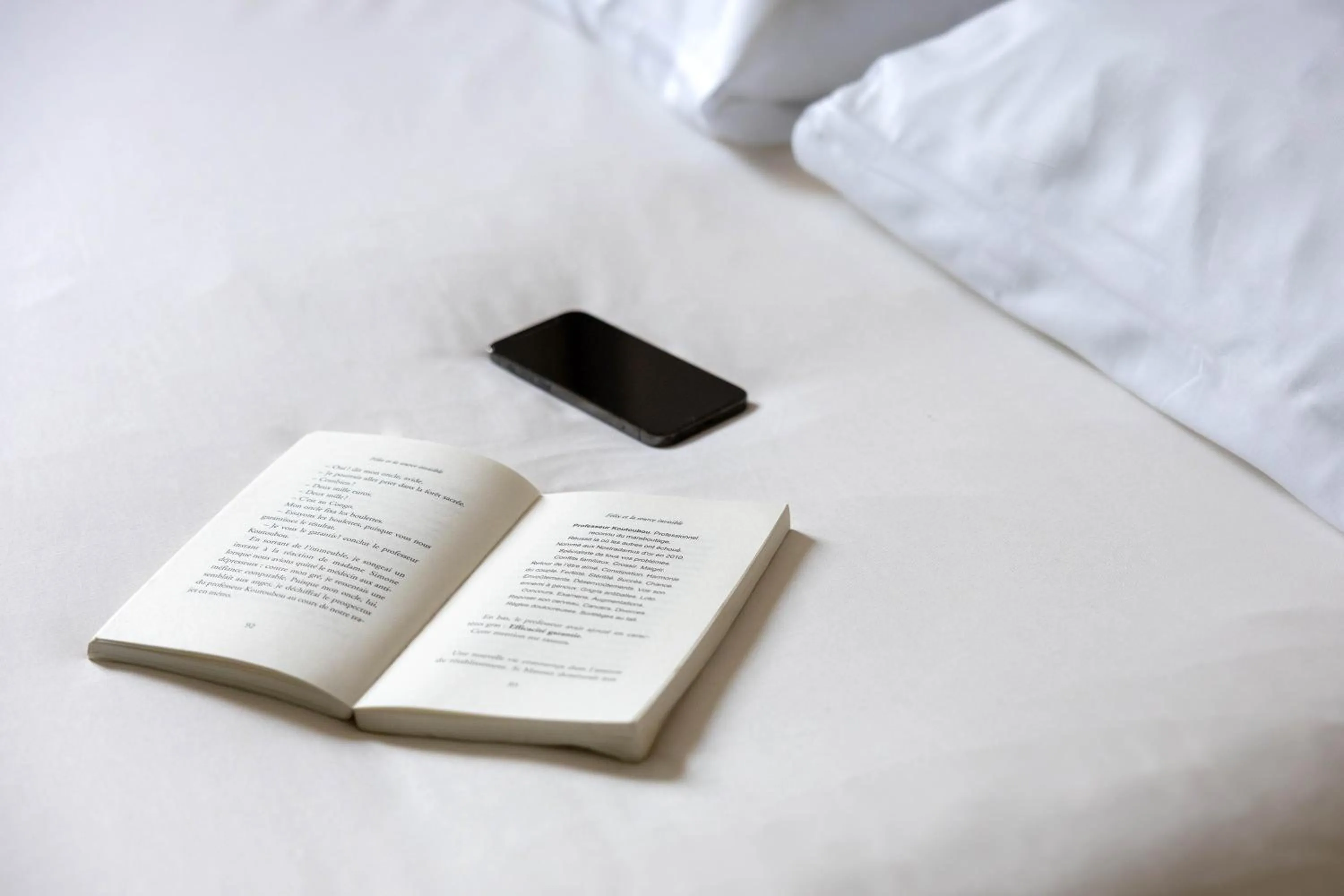 Bed in Ibis Budget Albi Centre