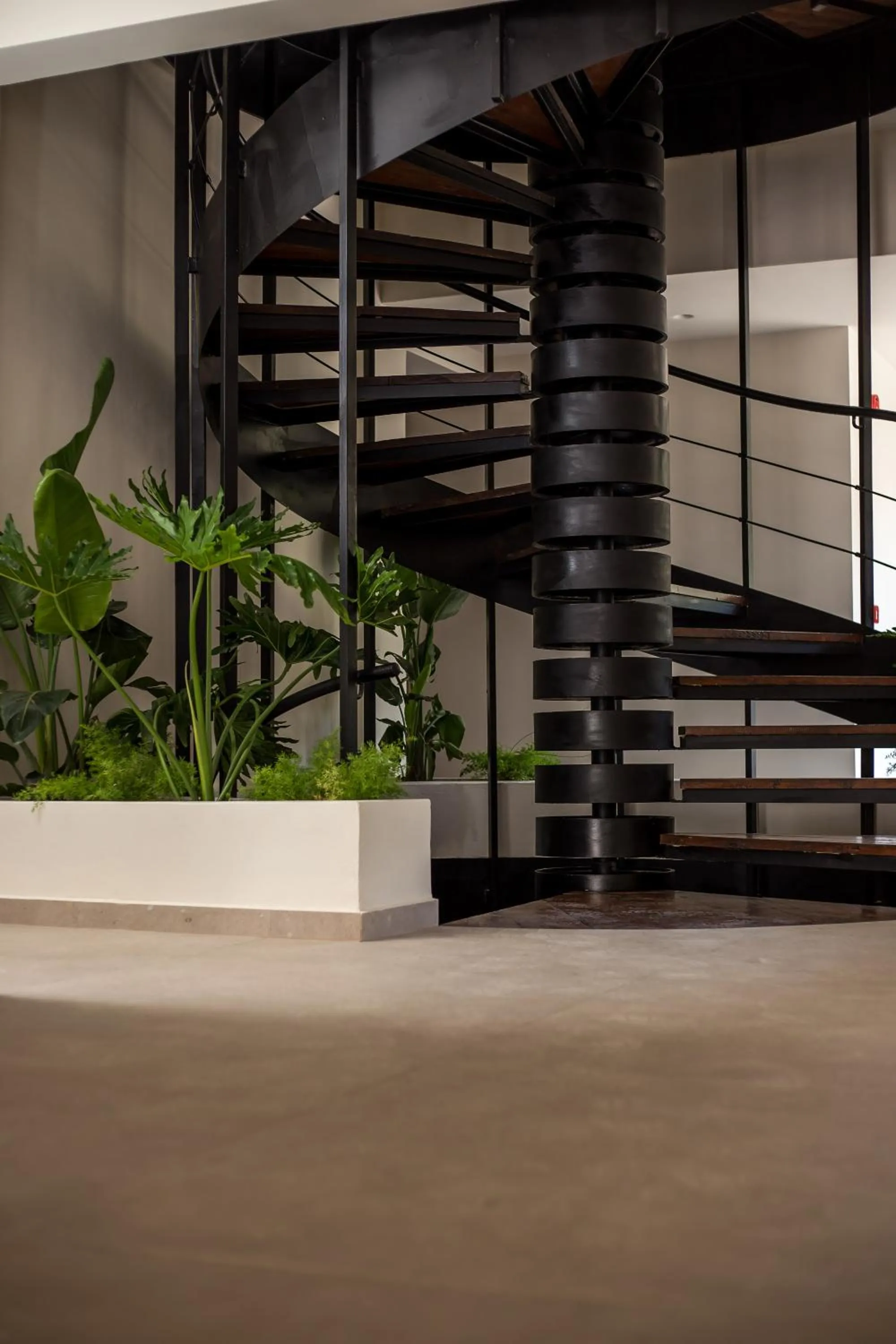 Lobby or reception in Ladiko Suites - Faliraki