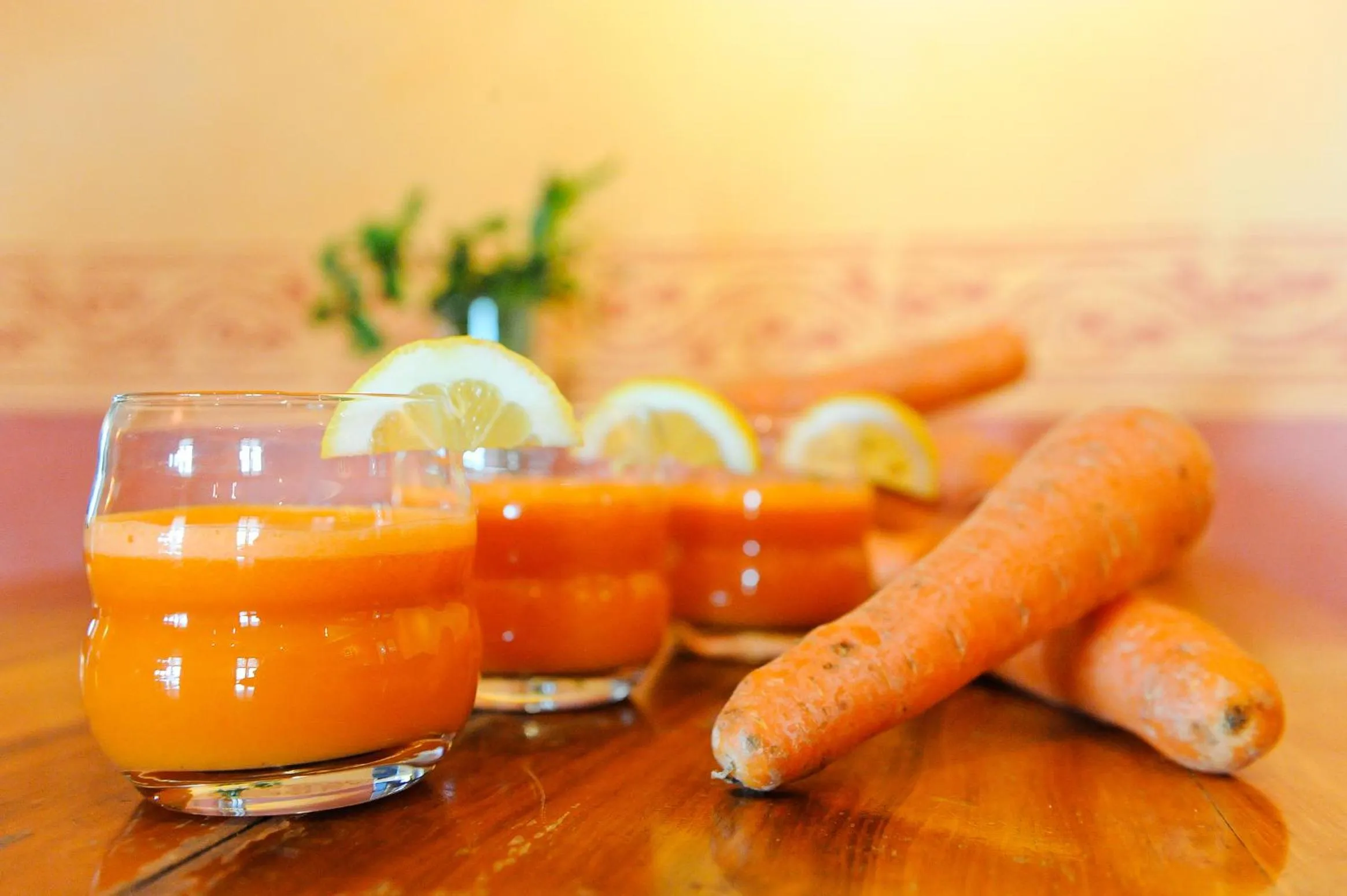 On site in EcoHotel L’Aubier