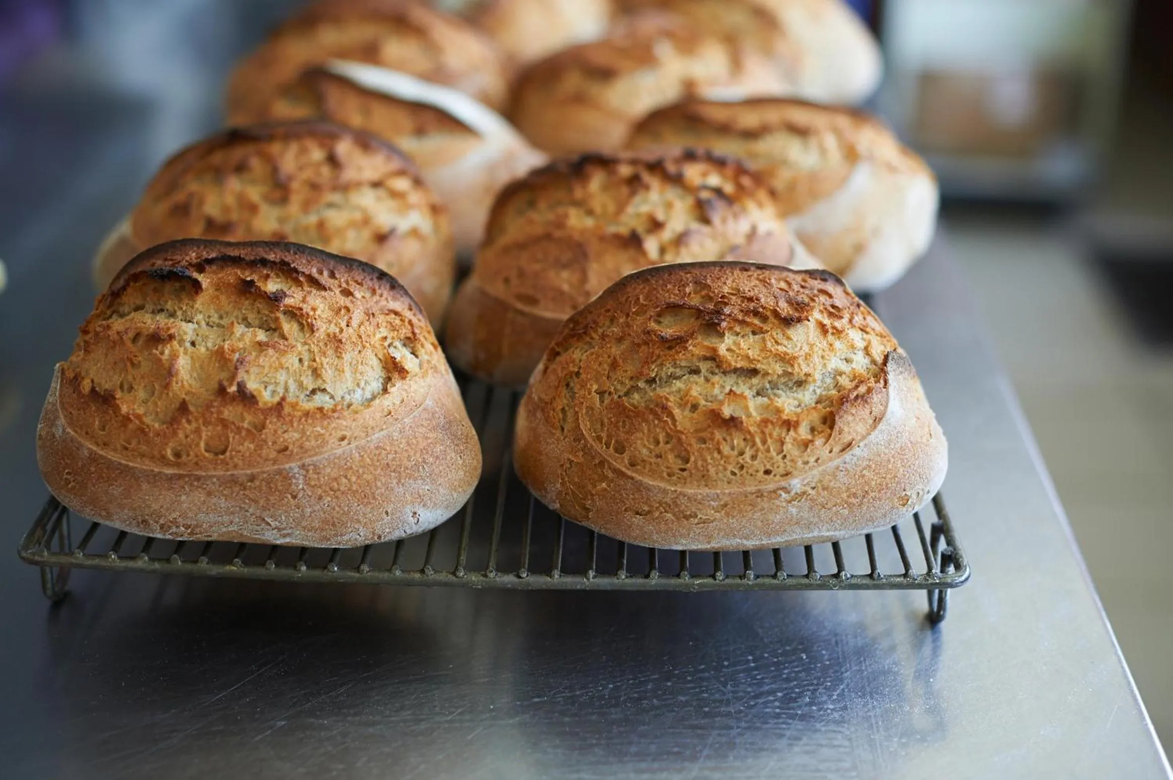 Other in EcoHotel L’Aubier