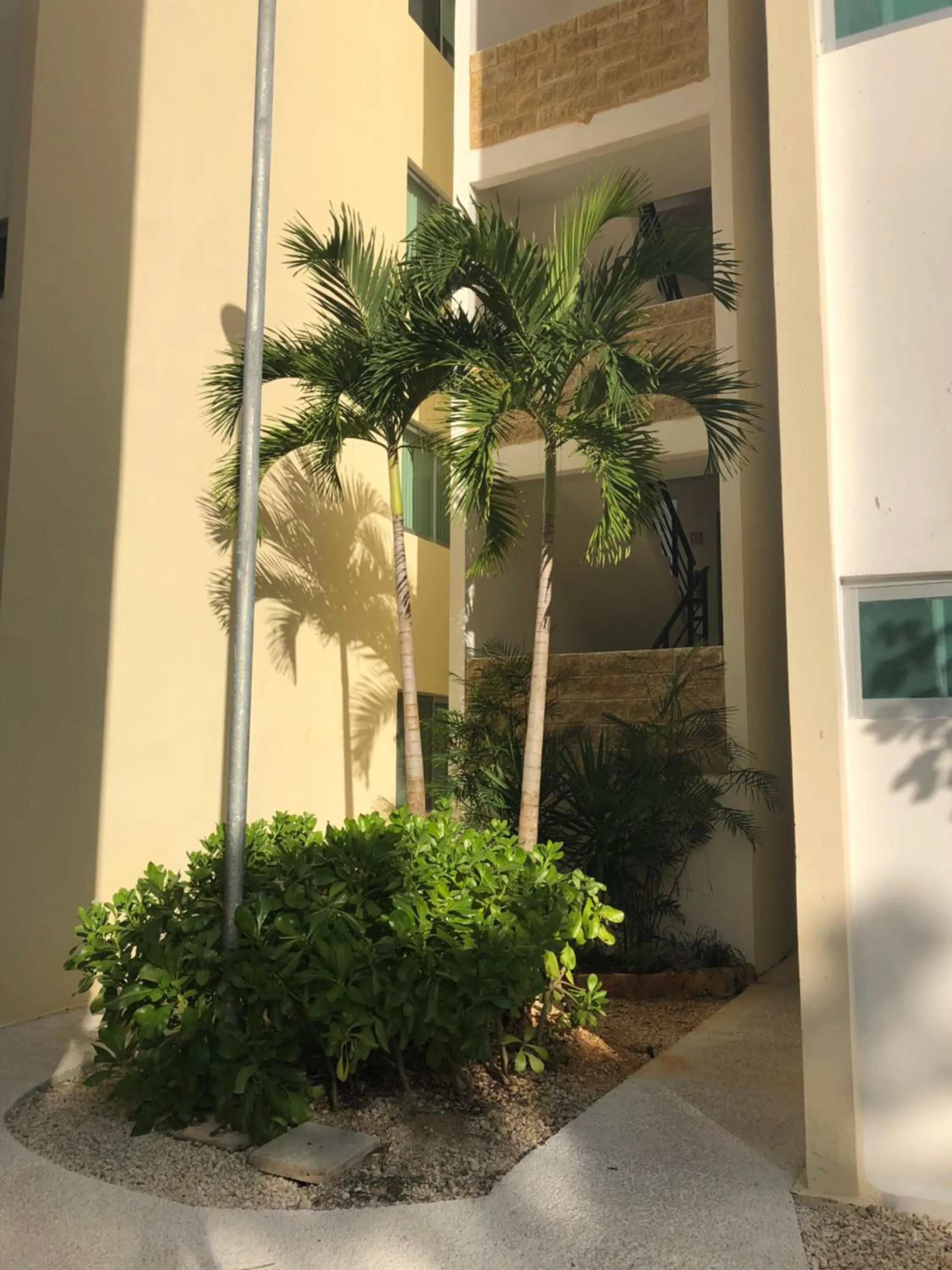 Property building in PLAYA SUITES apartment