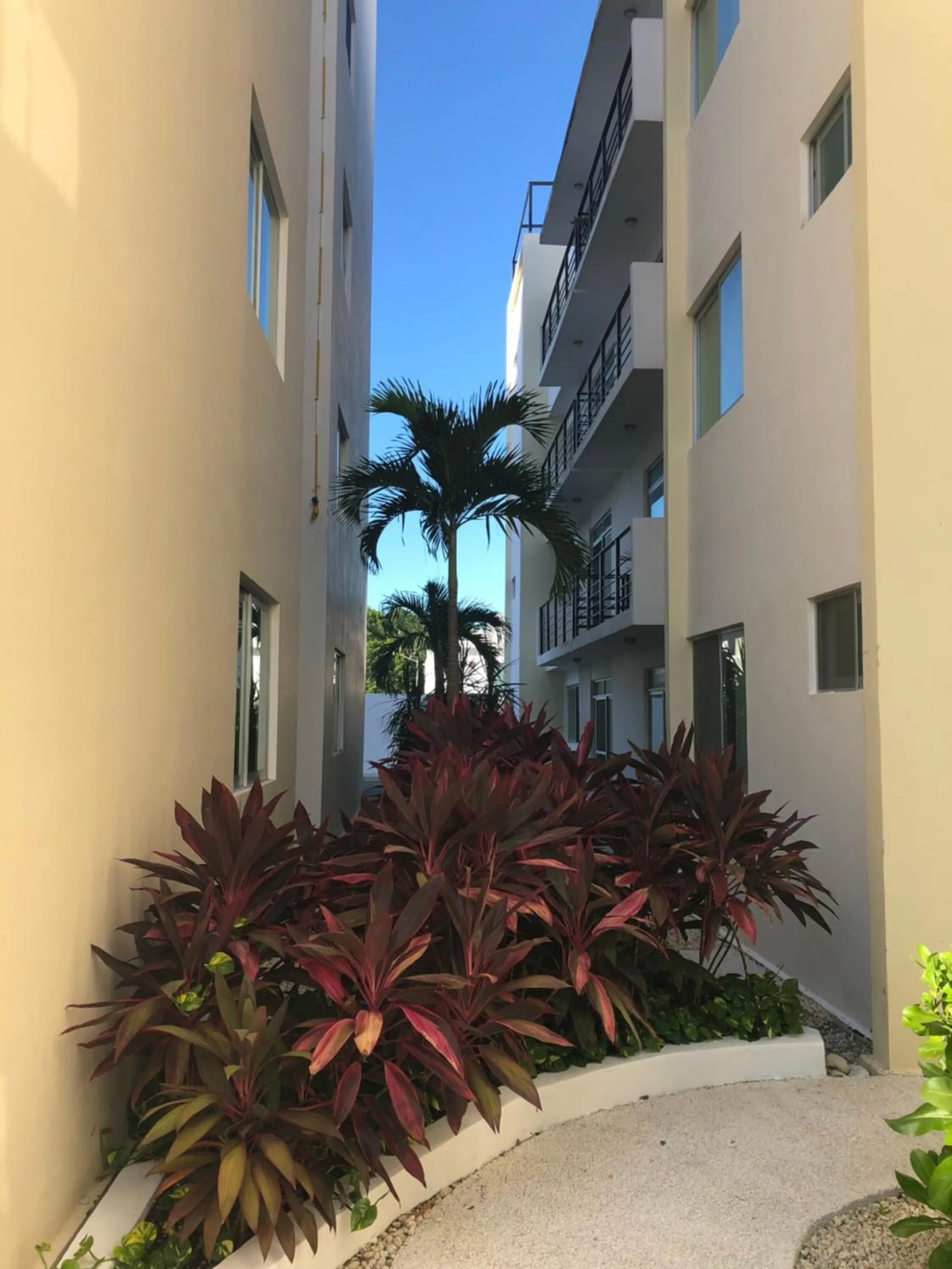 Property building in PLAYA SUITES apartment