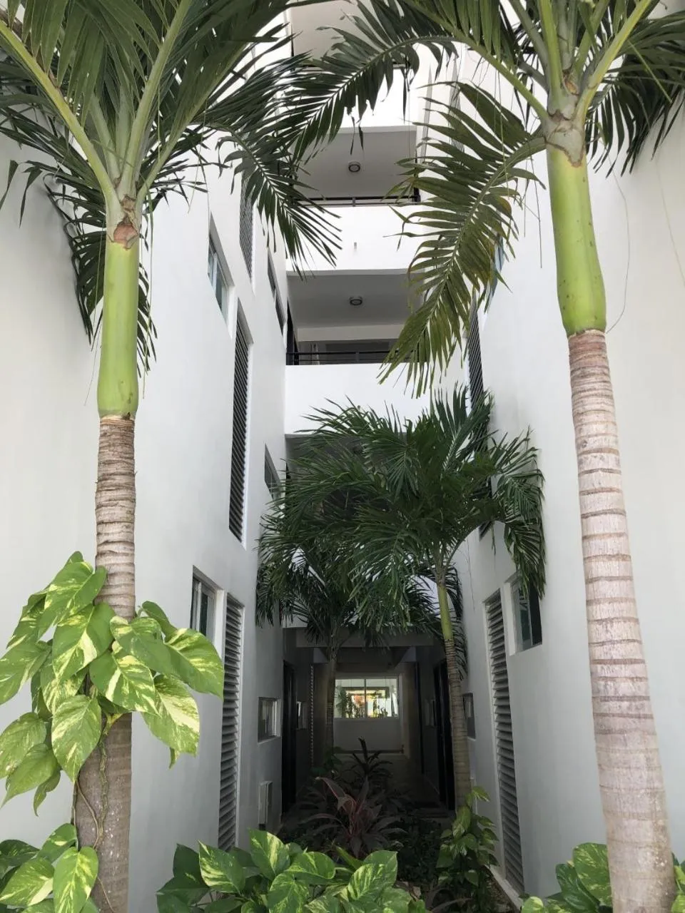Property building in PLAYA SUITES apartment