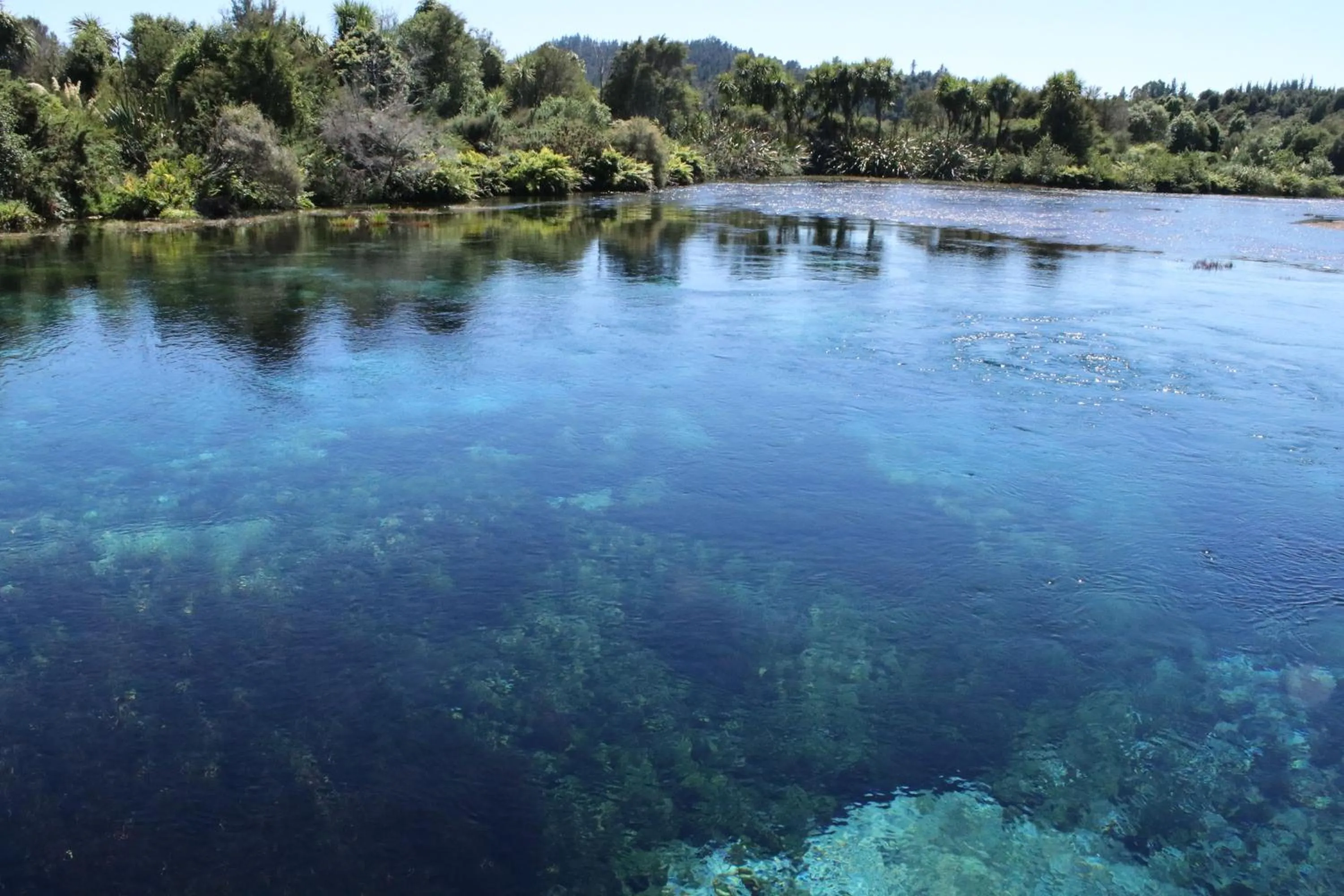 Off site in The Birch Tree B&B