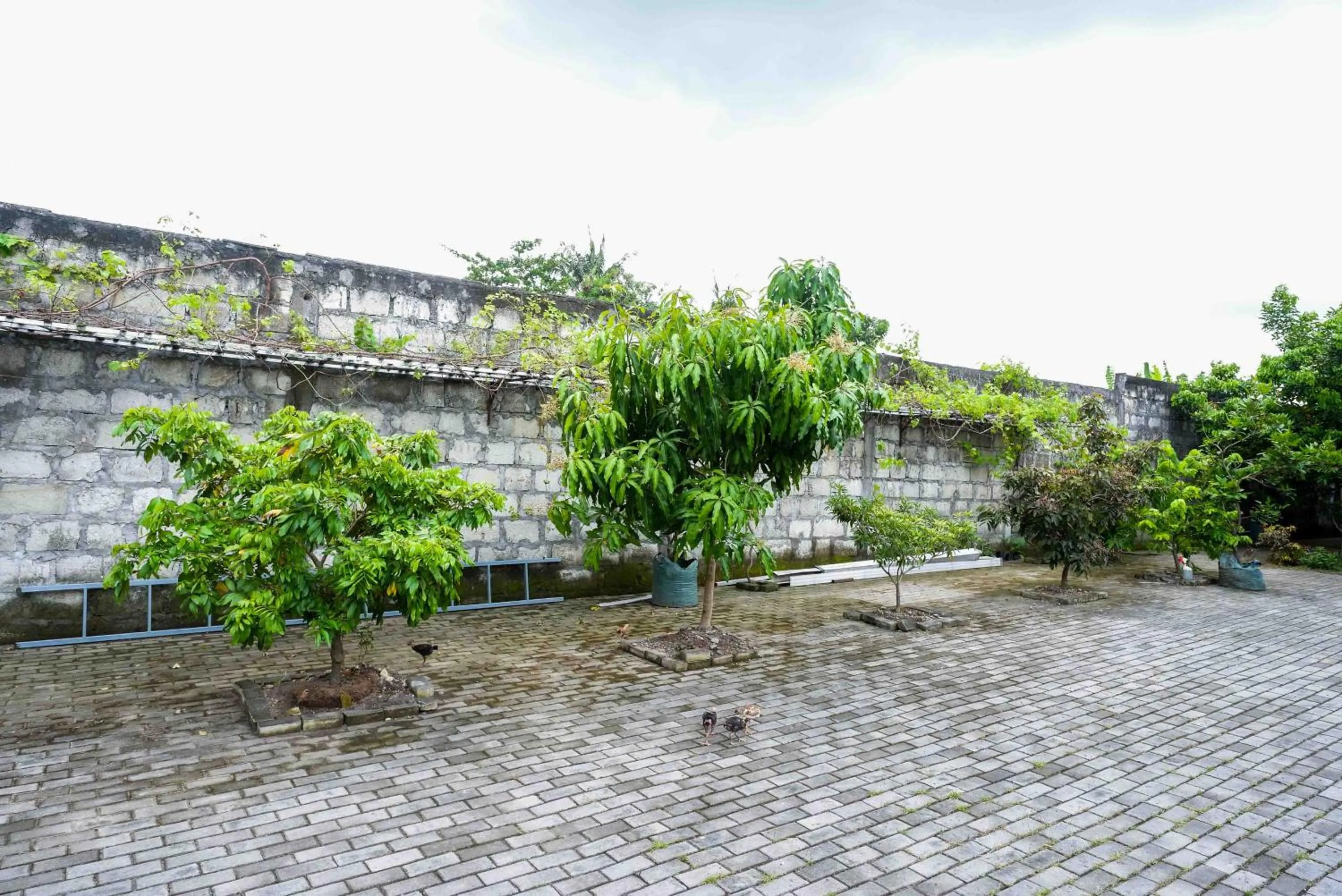 Patio in Urbanview Hotel Syariah Prambanan by RedDoorz