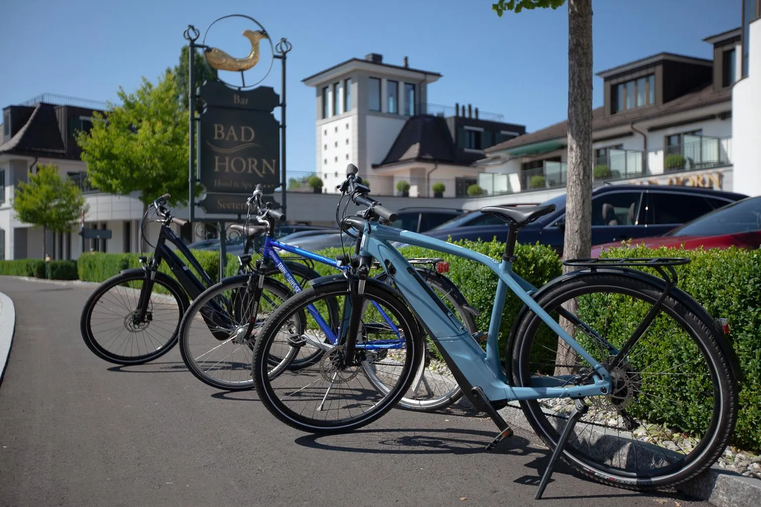 Nearby landmark in Bad Horn - Hotel & Spa