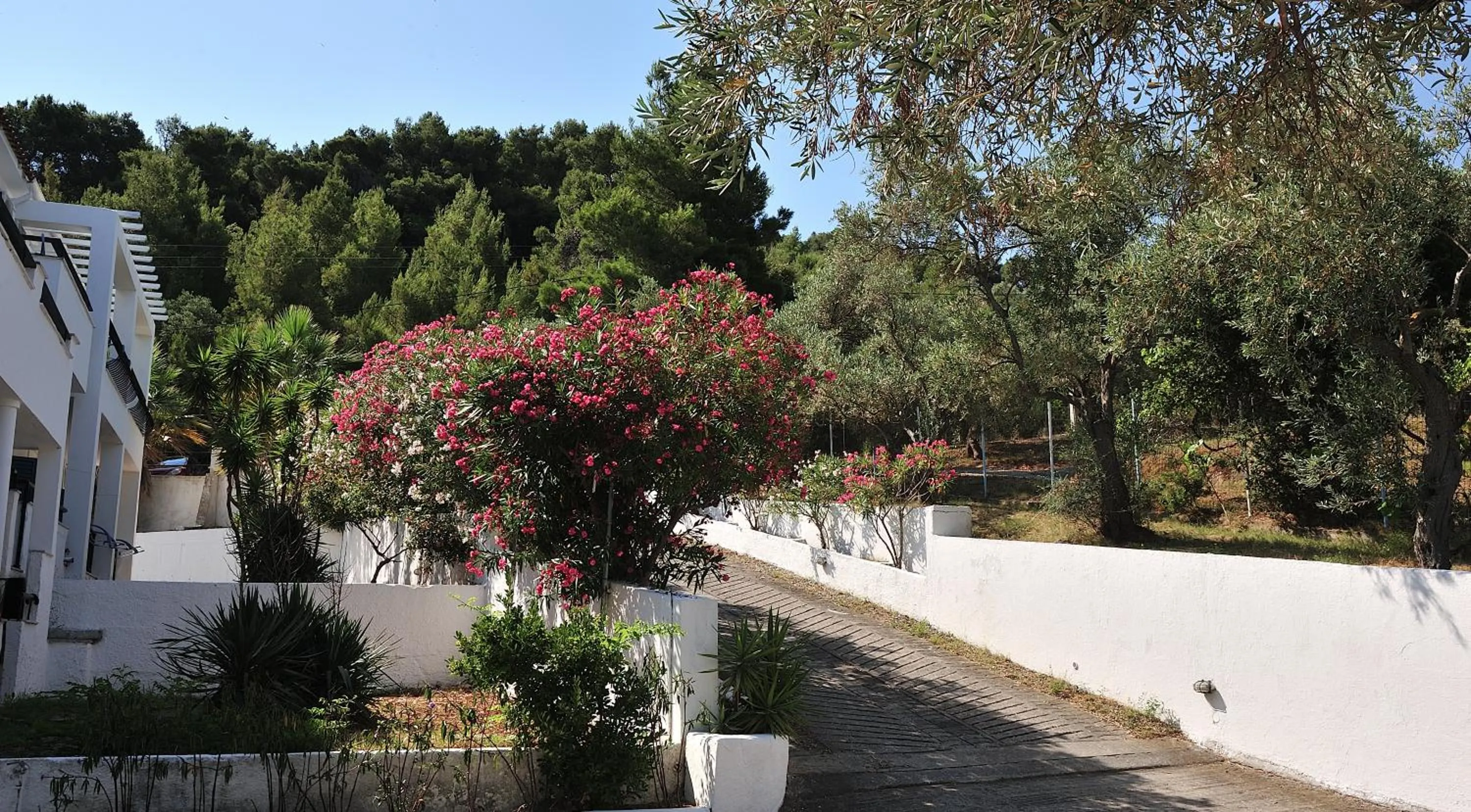 Property building in Anamar Skiathos Hotel