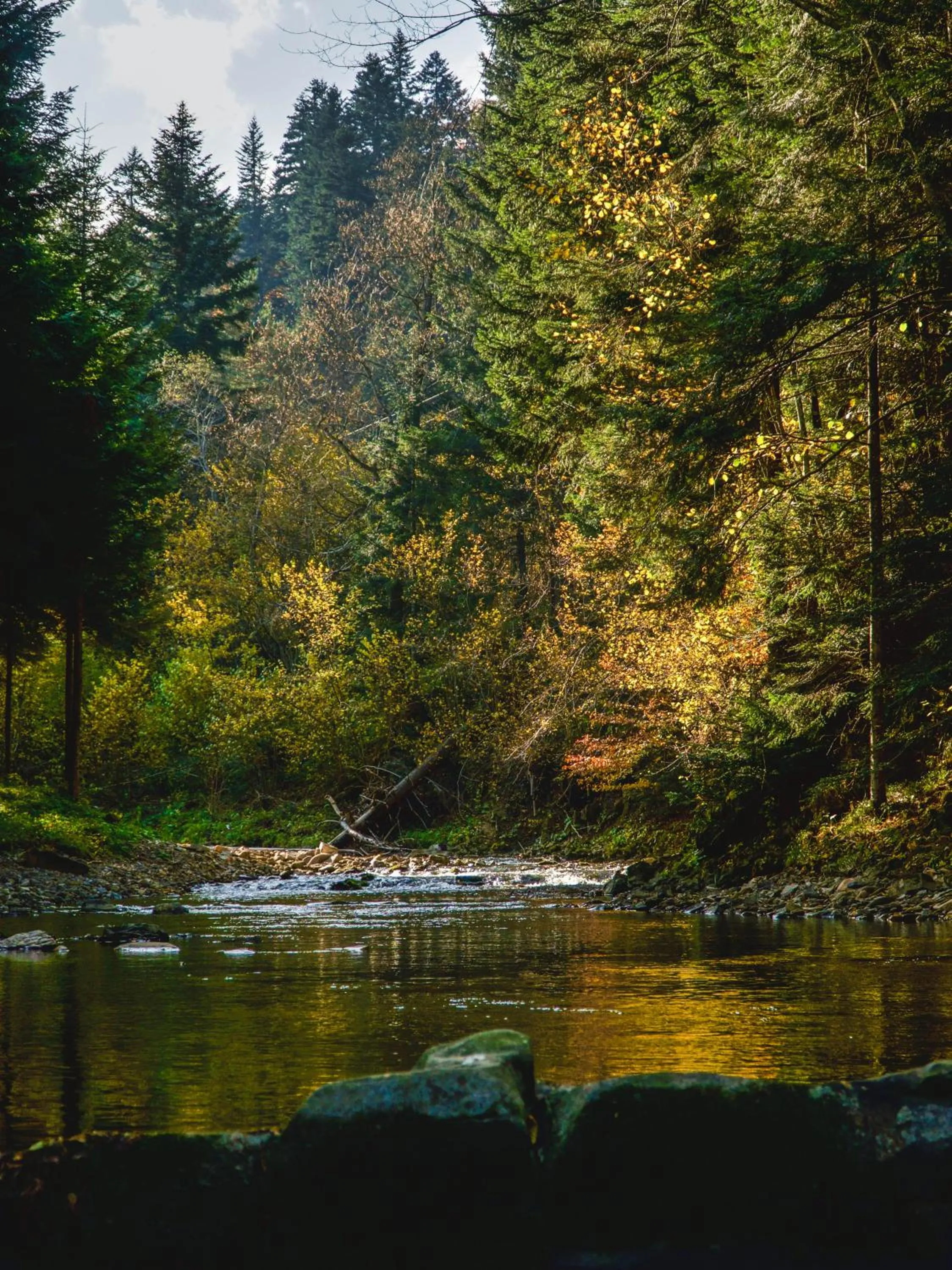 Autumn in Novosiele Lifestyle Apartments - nad górską rzeką - Strefa relaksu sauna jacuzzi - Bieszczady