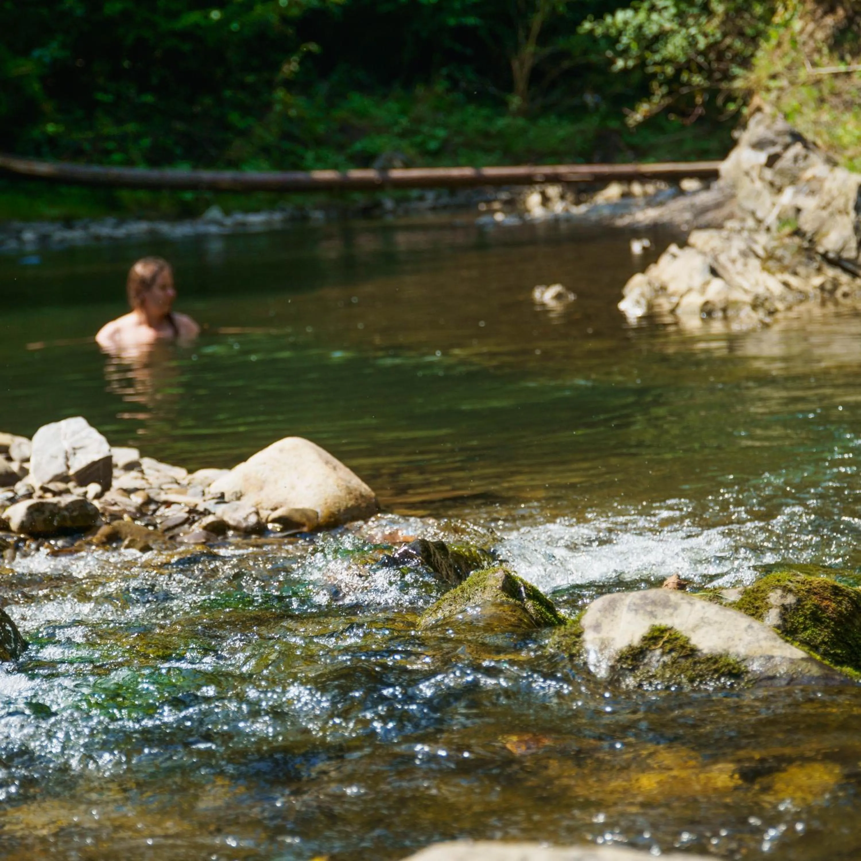 Natural landscape in Novosiele Lifestyle Apartments - nad górską rzeką - Strefa relaksu sauna jacuzzi - Bieszczady