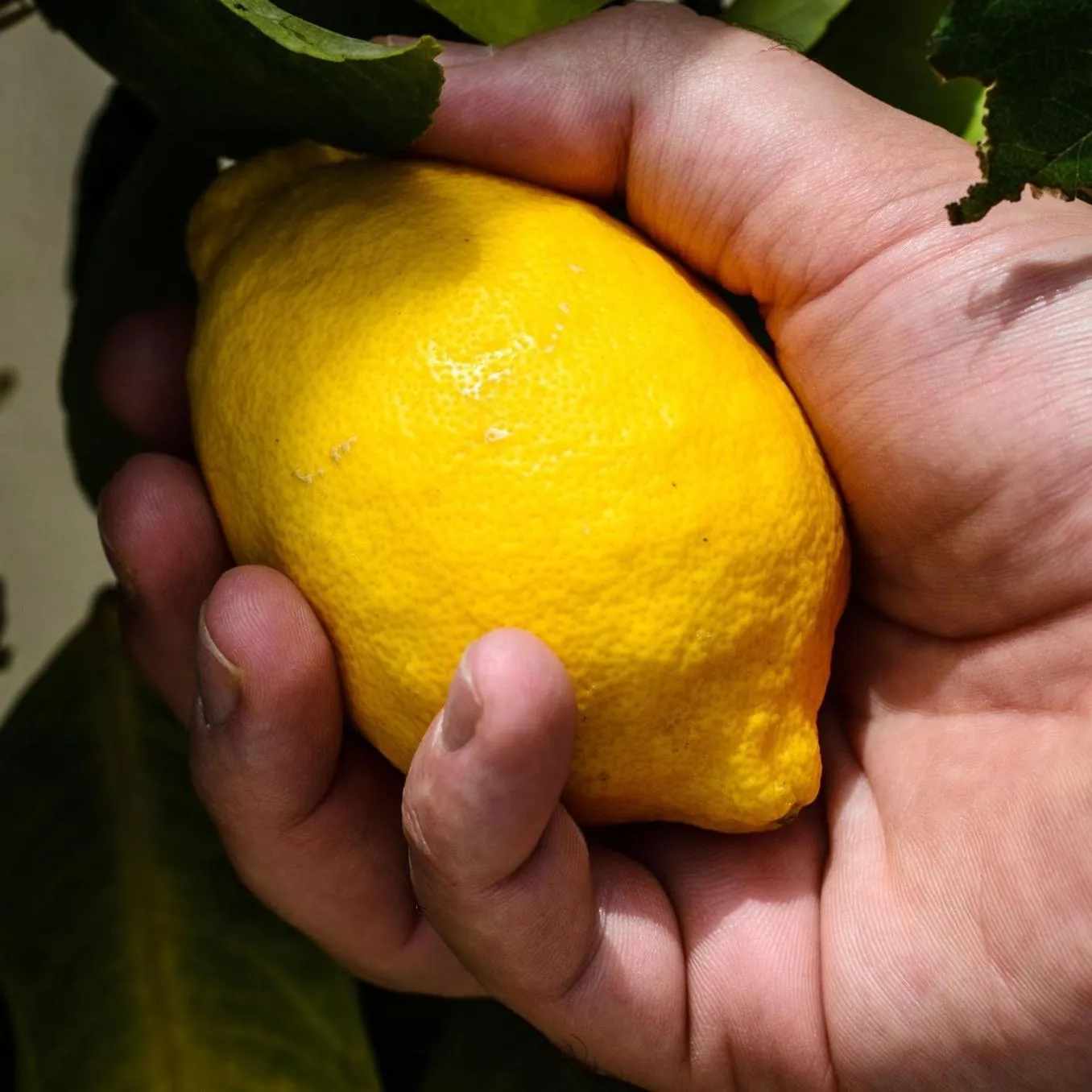 Food in Kapuhala Sicily