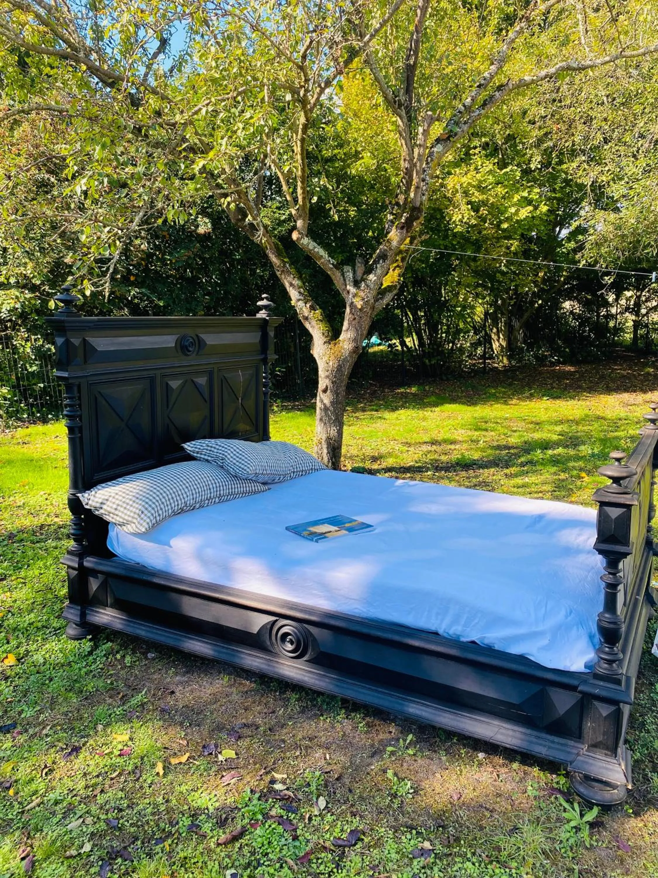 L'écrin de verdure GITE VERVEINE