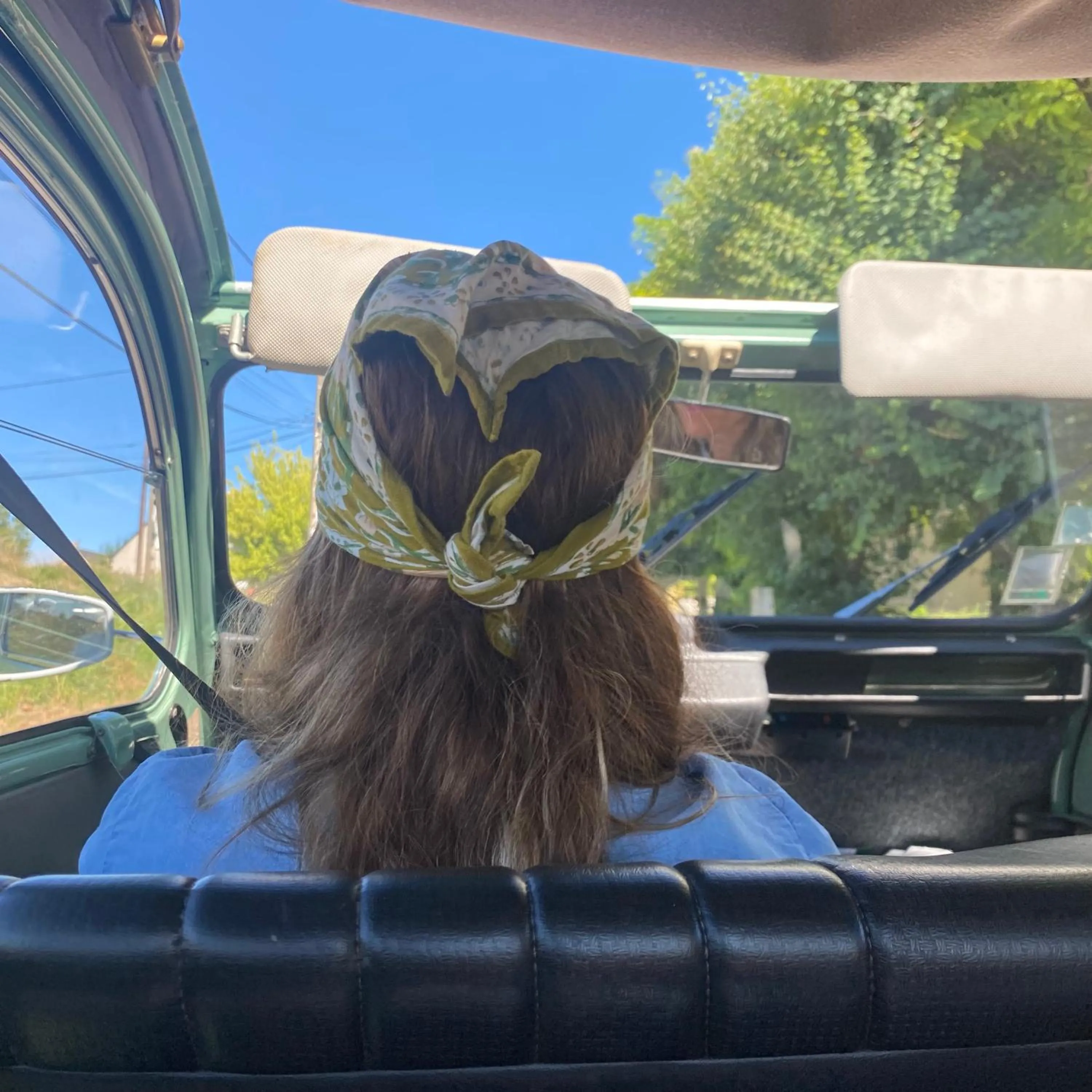 L'écrin de verdure GITE VERVEINE