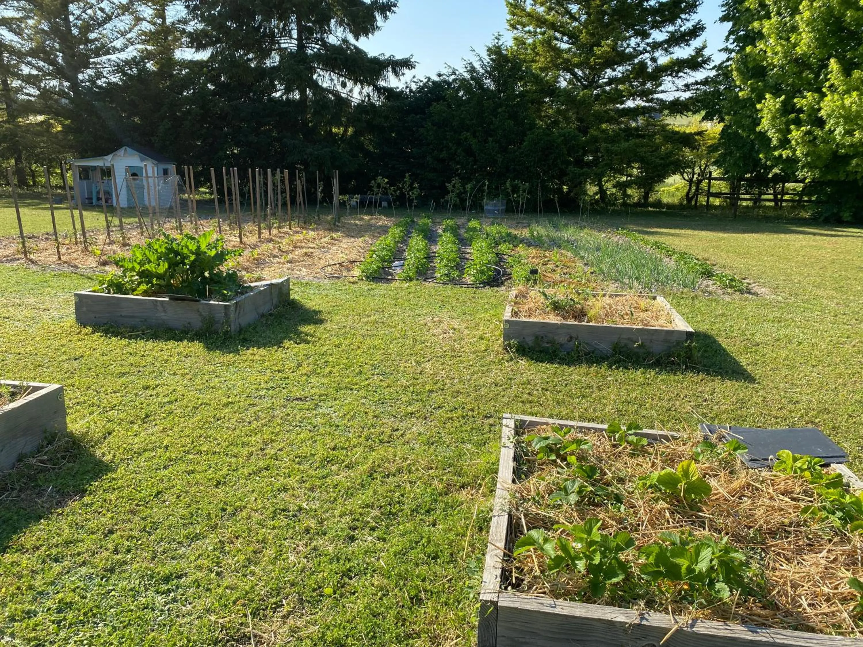 L'écrin de verdure GITE VERVEINE