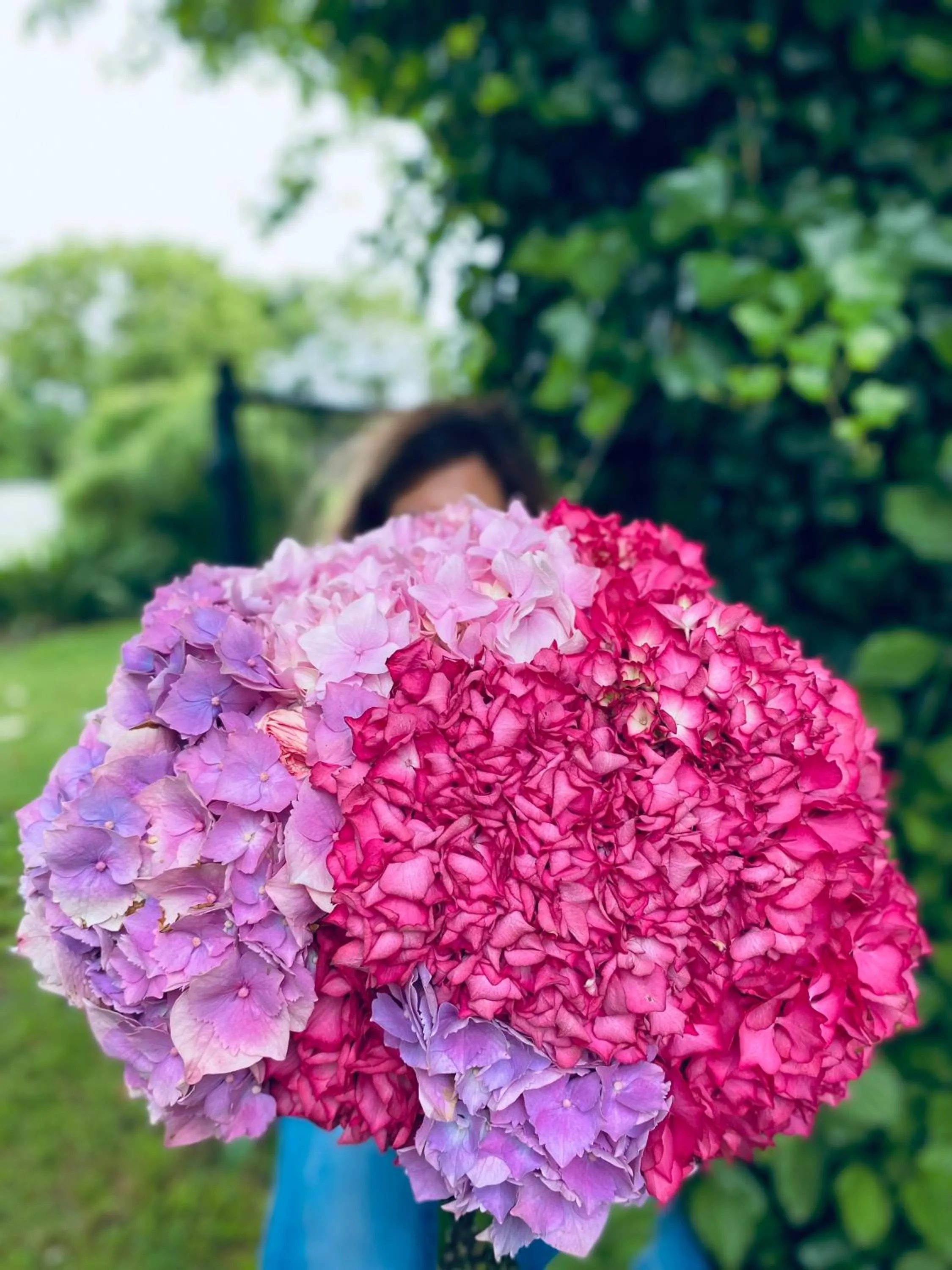 L'écrin de verdure GITE VERVEINE