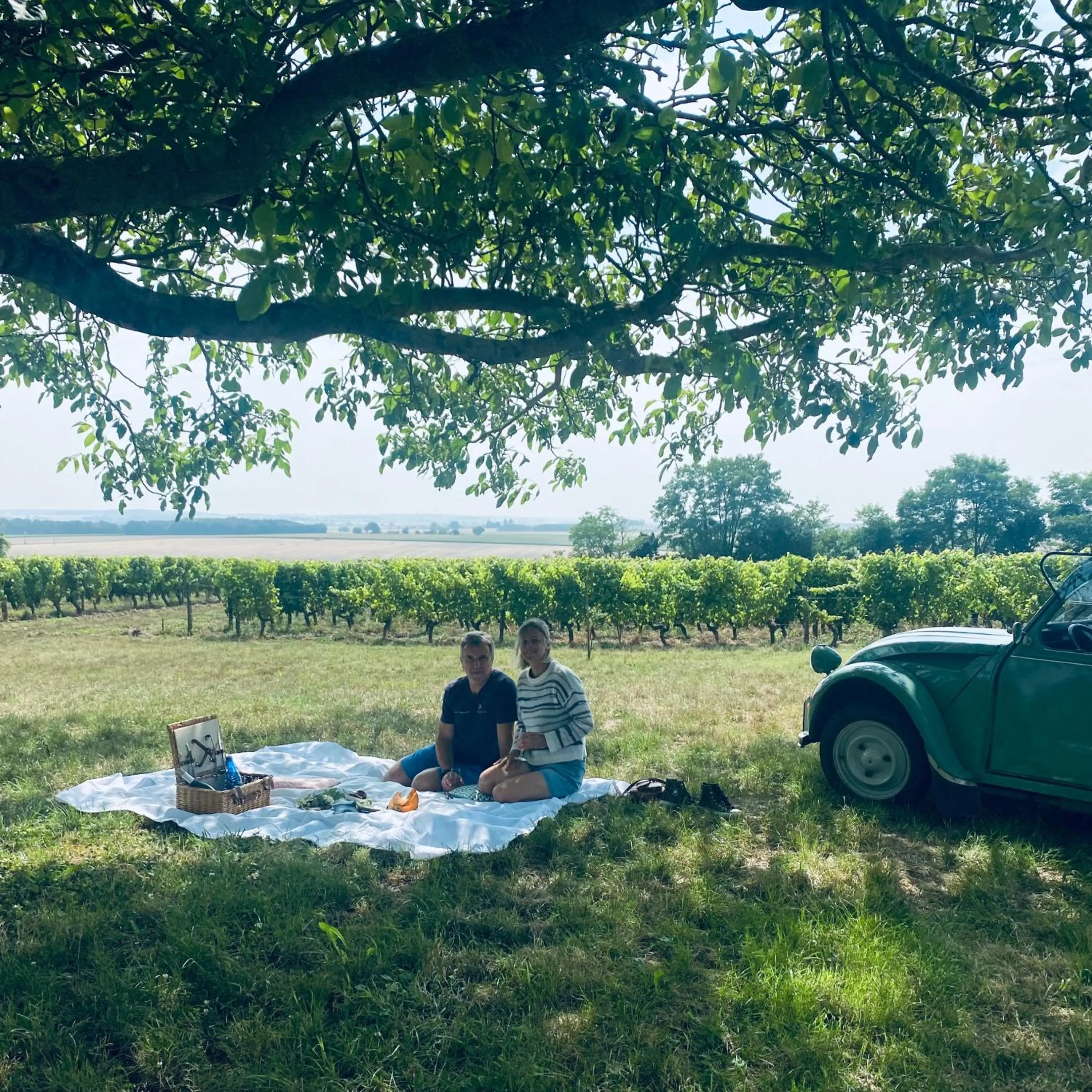 L'écrin de verdure GITE VERVEINE