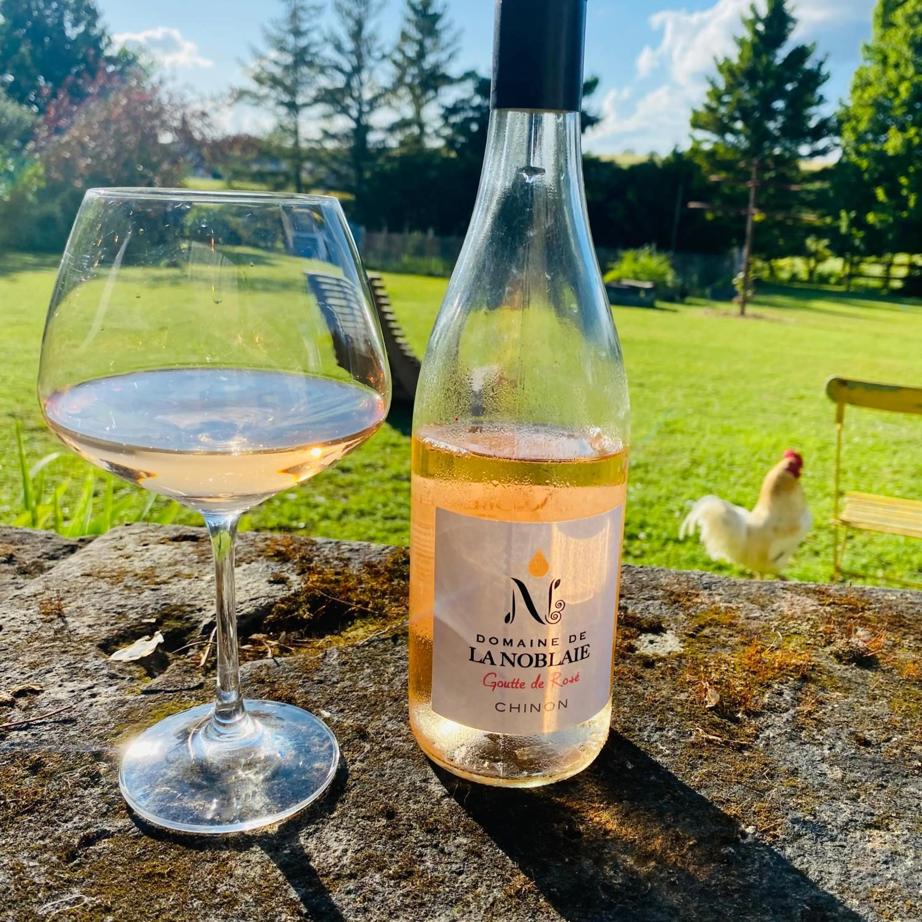 L'écrin de verdure GITE VERVEINE