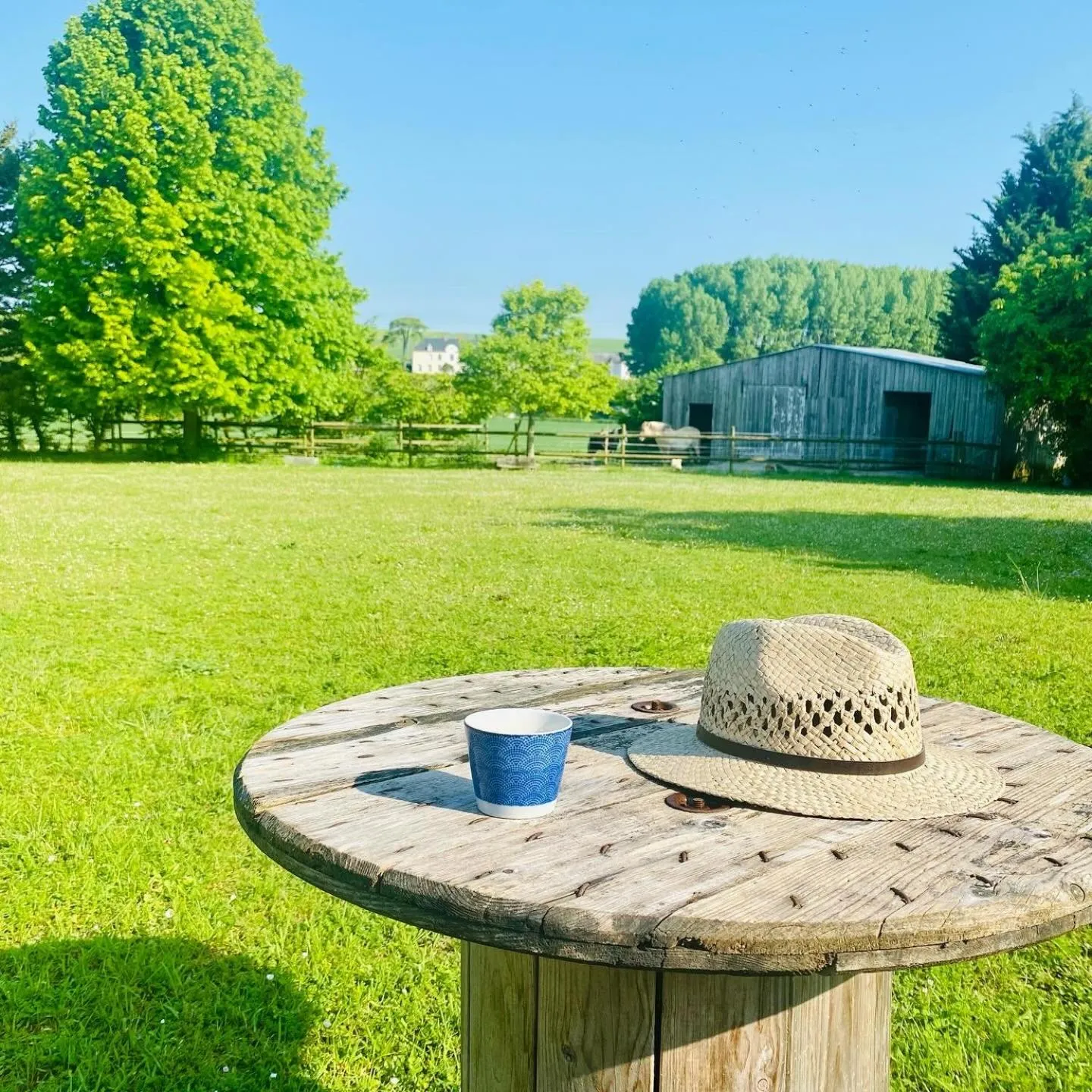 L'écrin de verdure GITE VERVEINE
