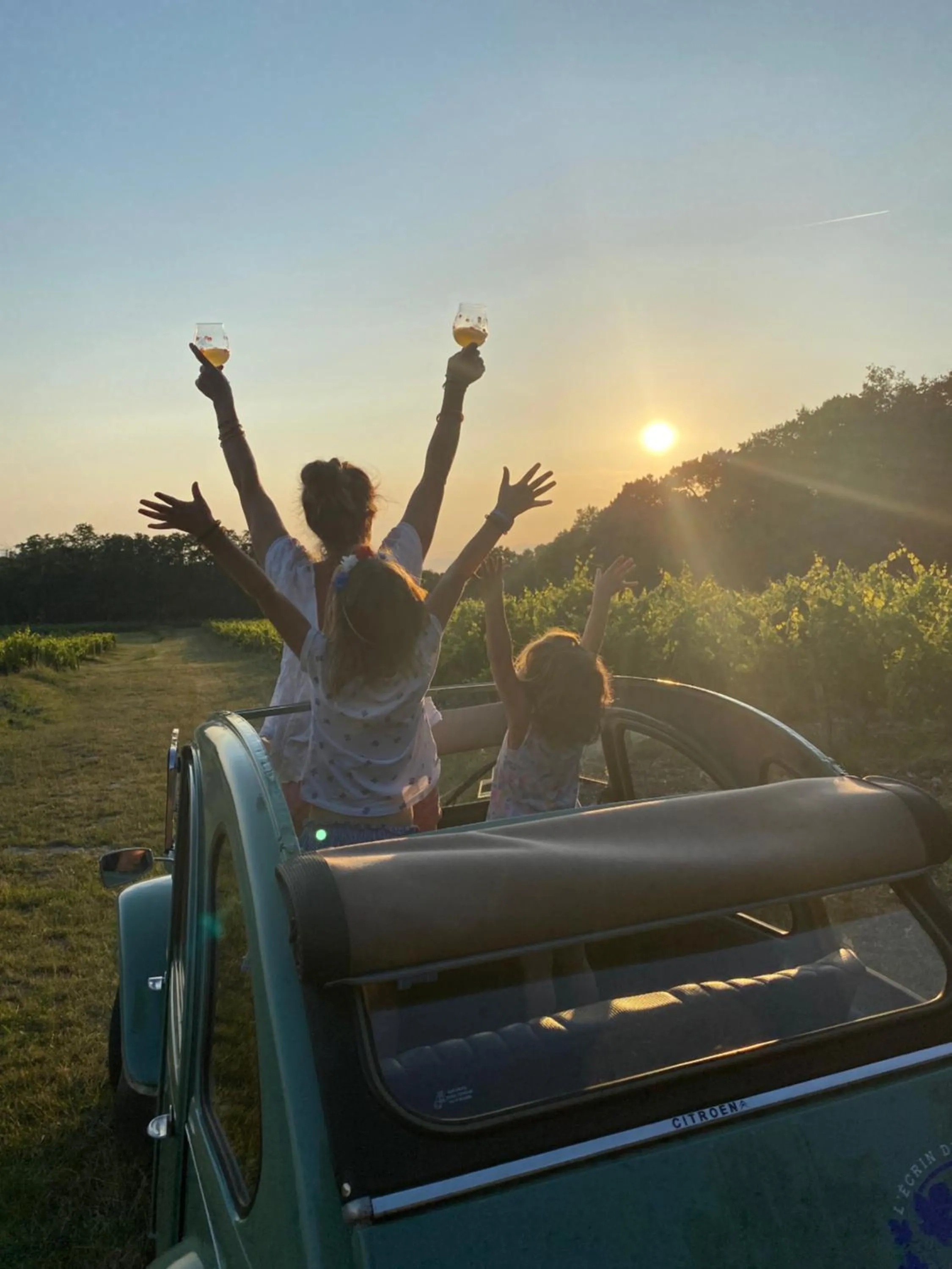 L'écrin de verdure GITE VERVEINE