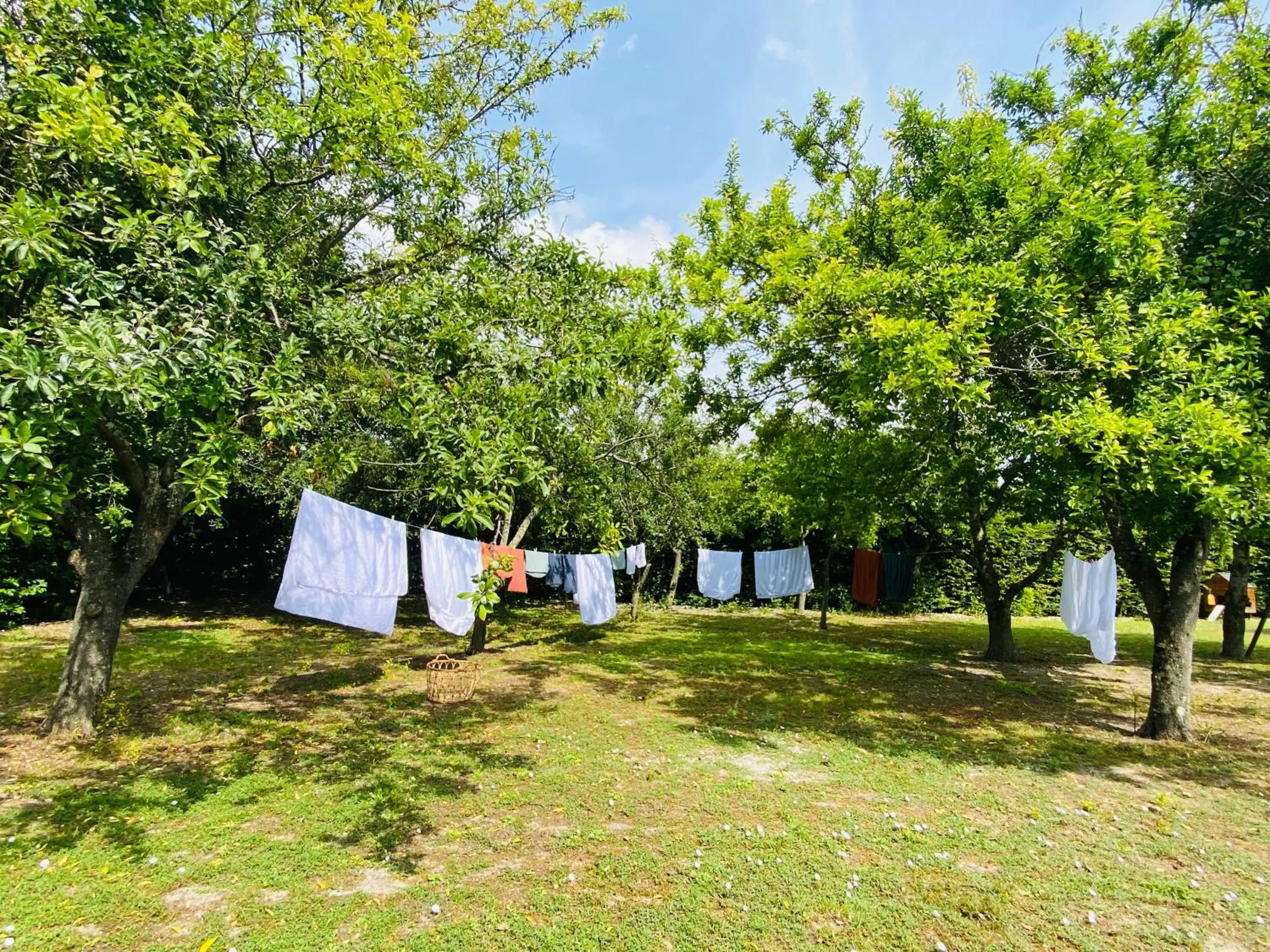 Garden in L'écrin de verdure GITE VERVEINE