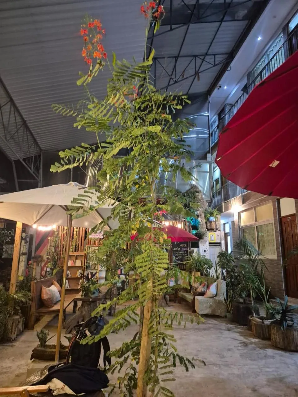 Patio in Libélula Hotel