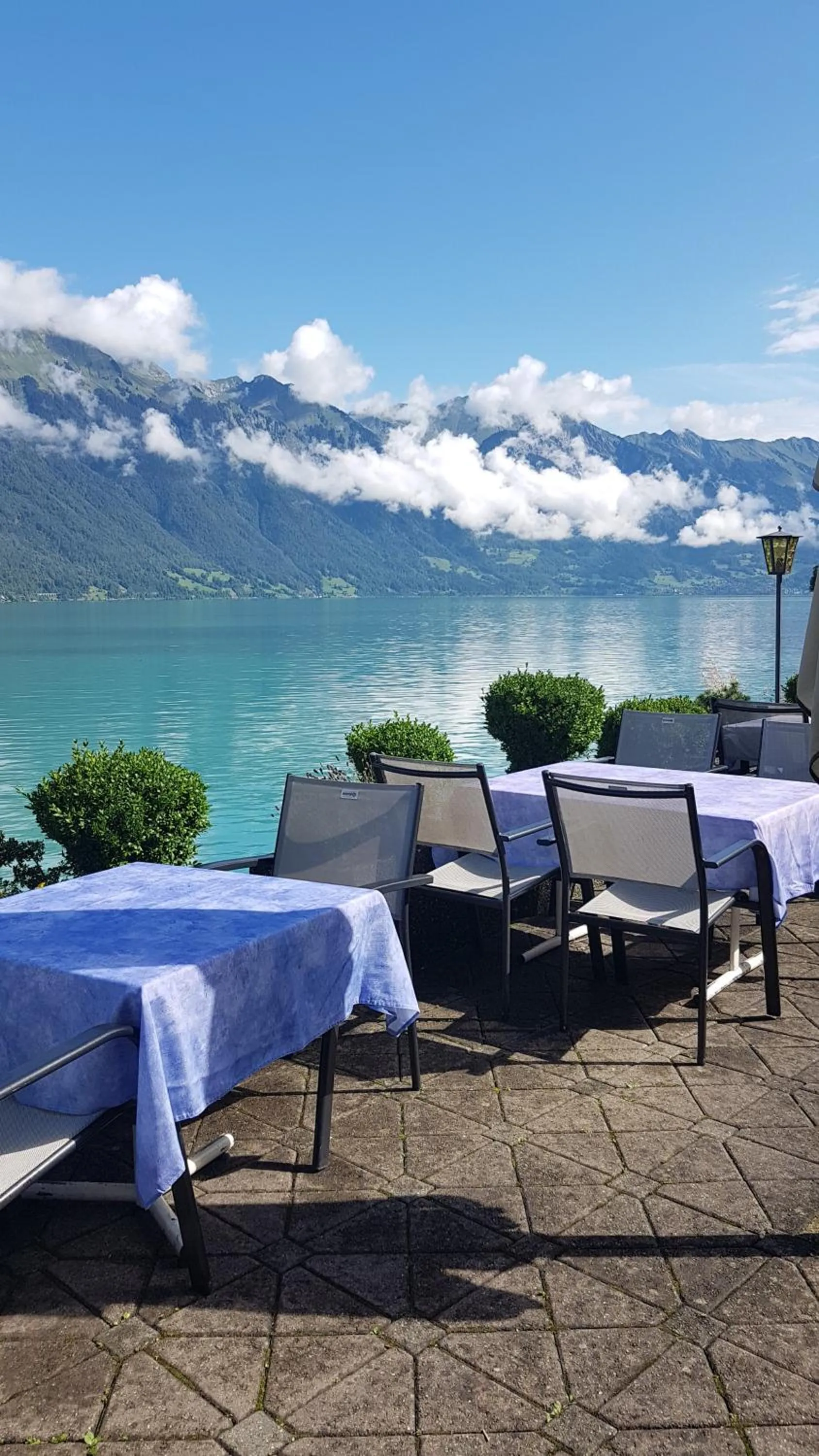 Restaurant/places to eat in Hotel Strandhotel