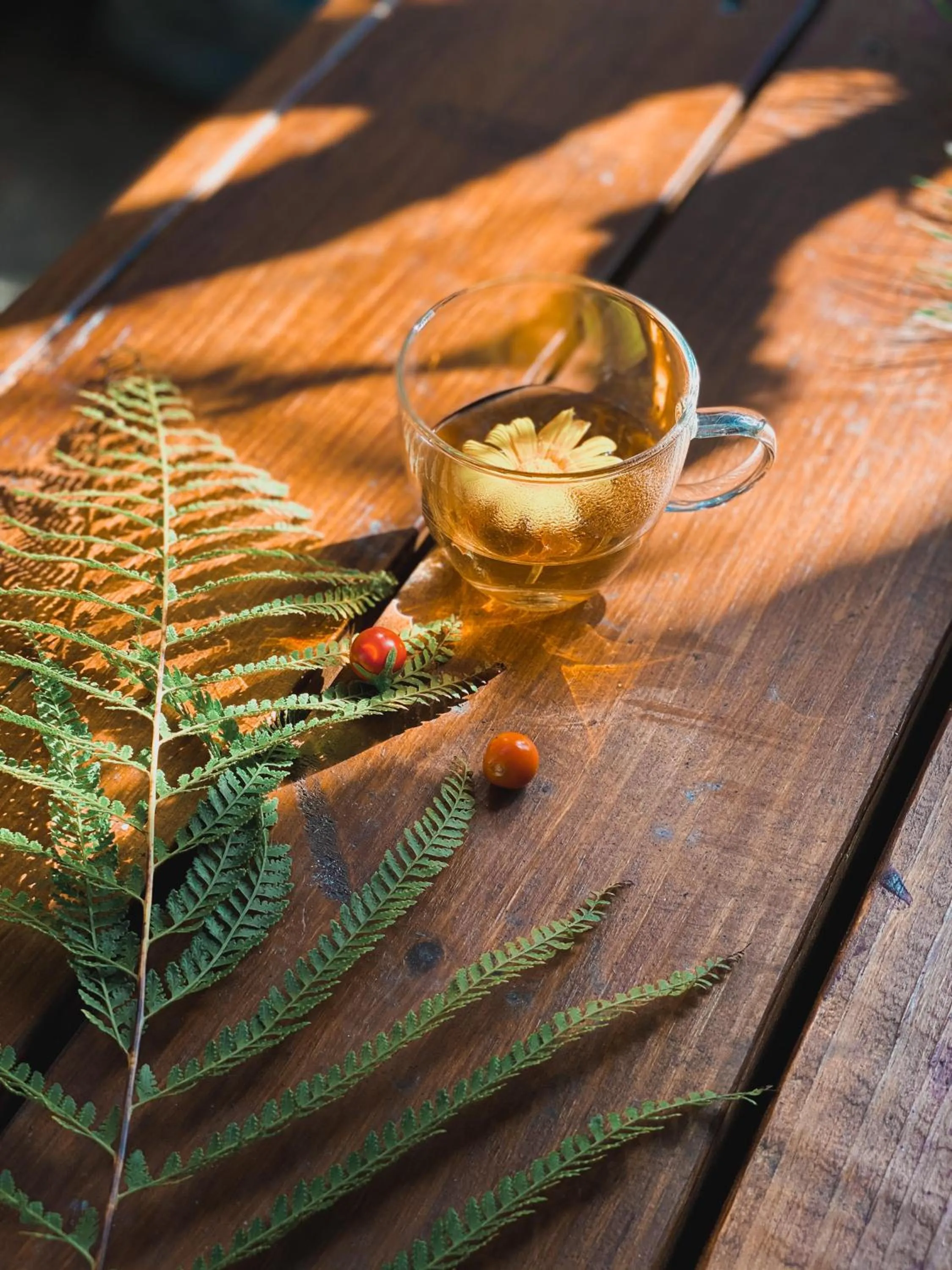 Food in Euro Country Villa