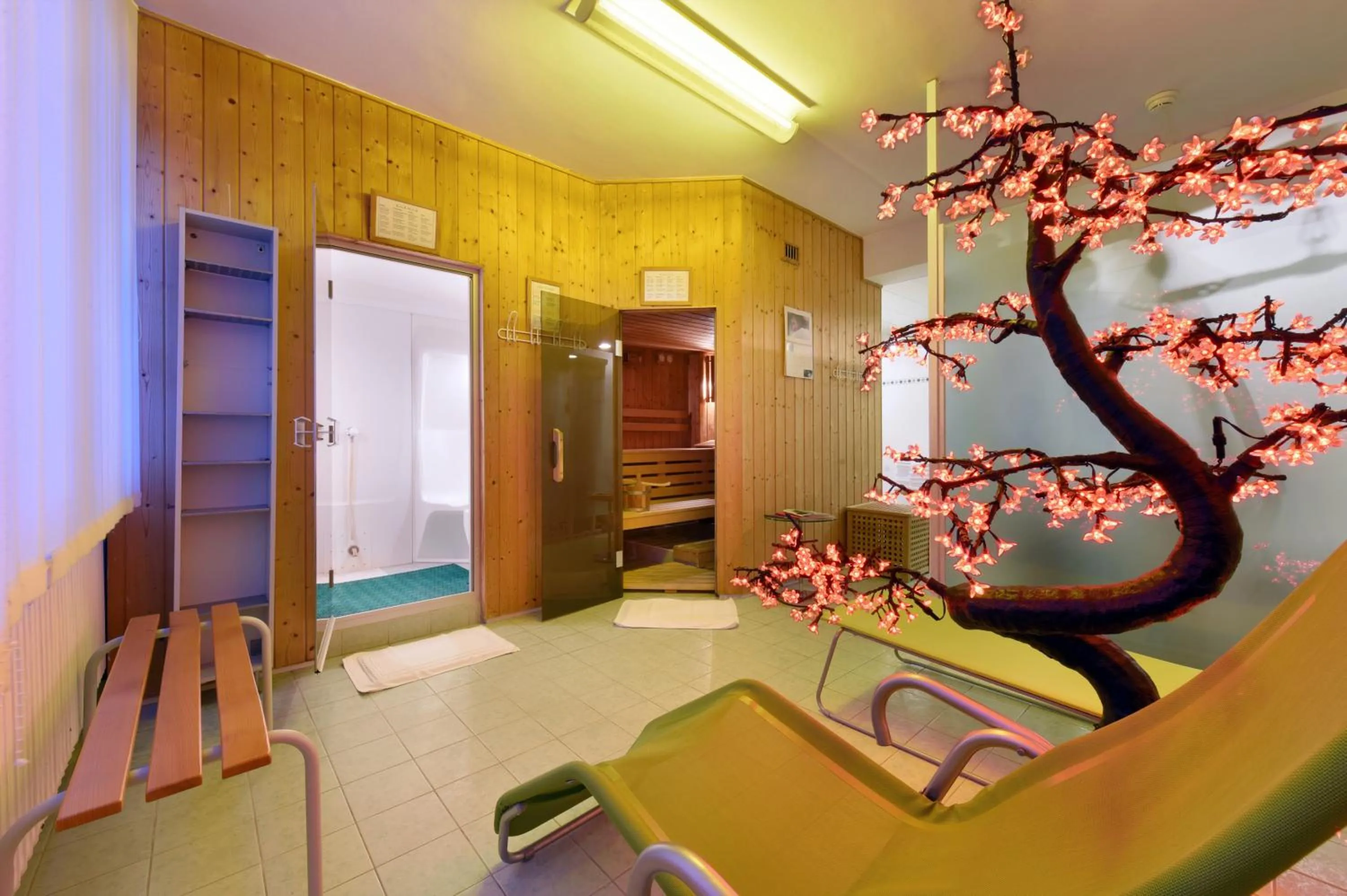 Sauna in Hôtel Bellerive