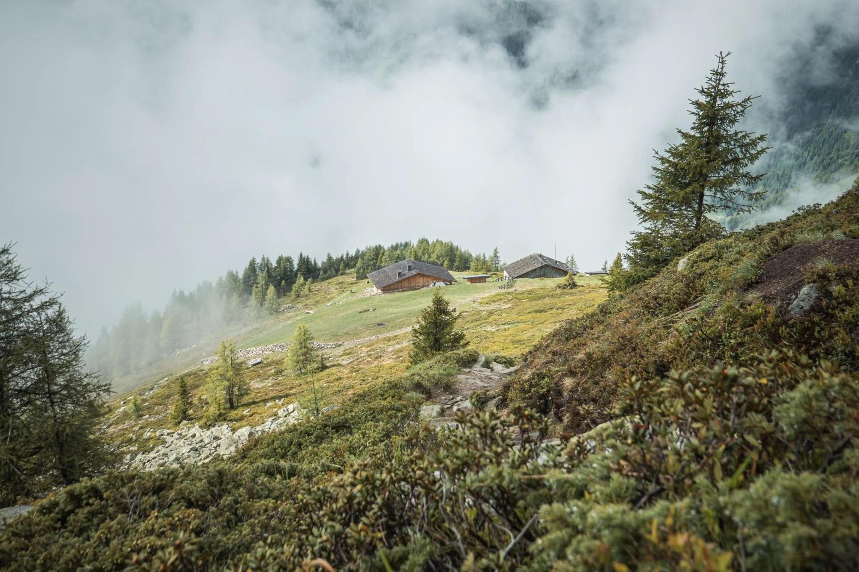 Summer in Apparthotel Sonnwies