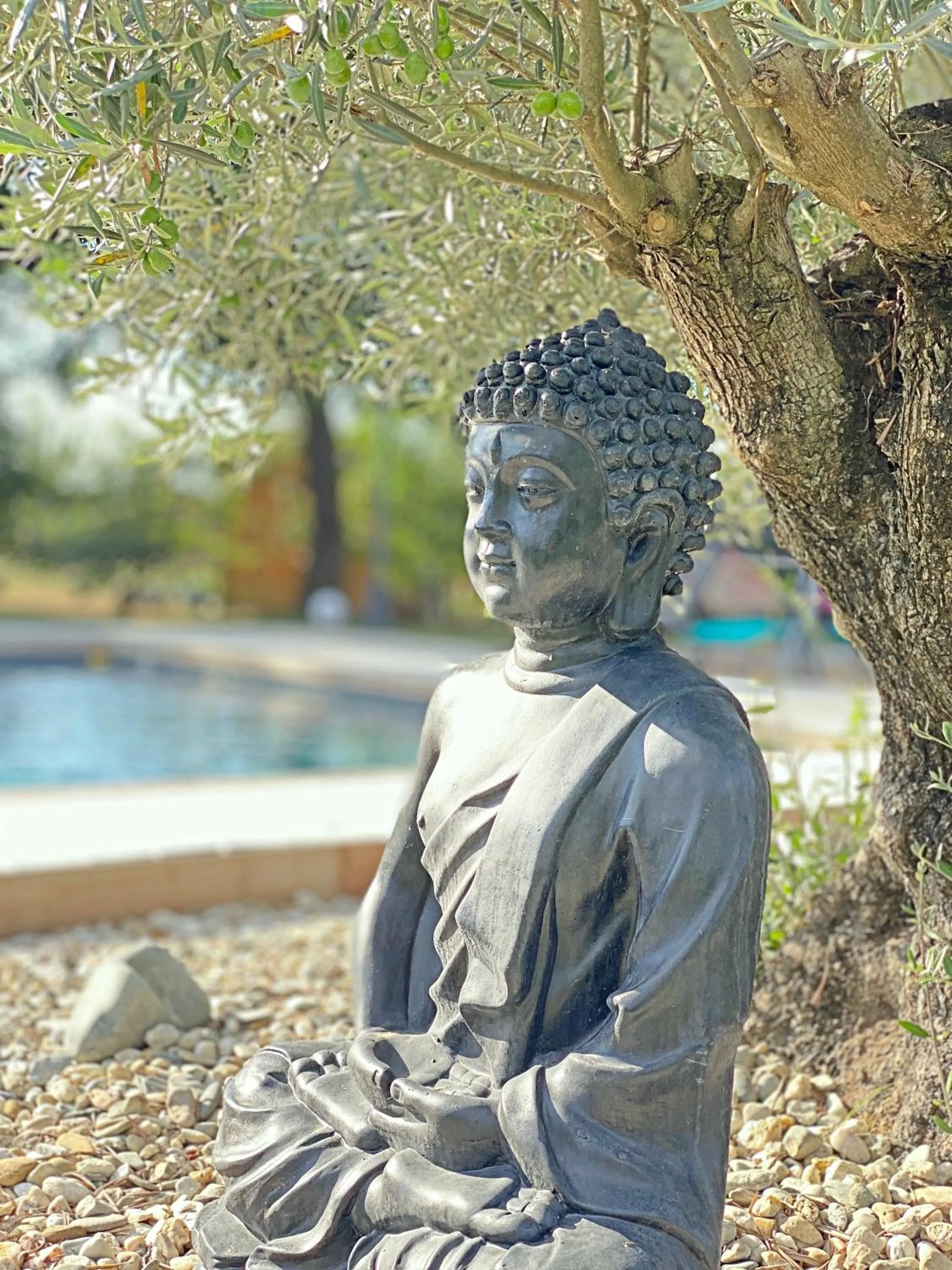Swimming pool in Ô gré des sens