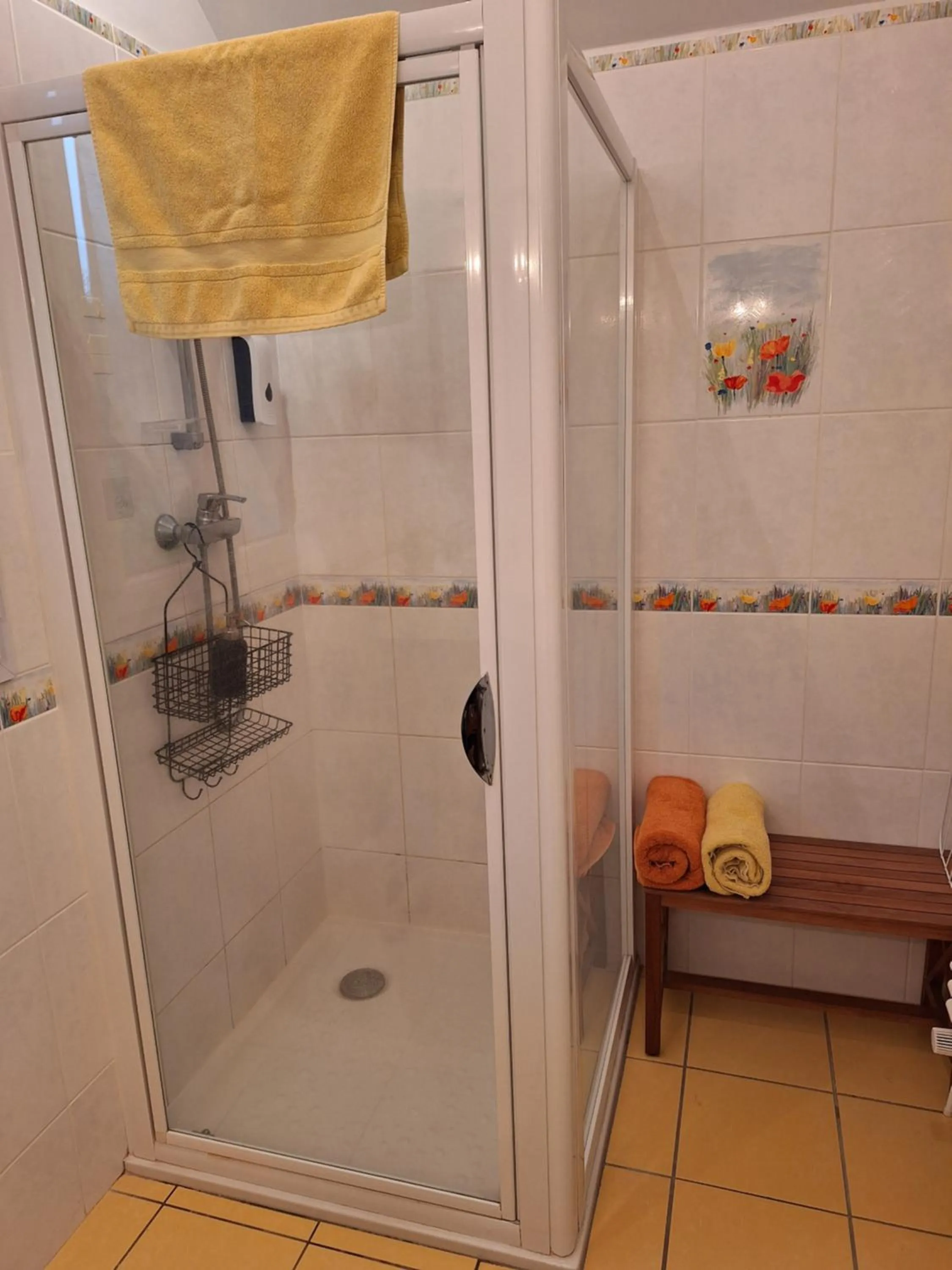 Shower in Traînefeuilles - Chambres d'hôtes proche Zoo de Beauval