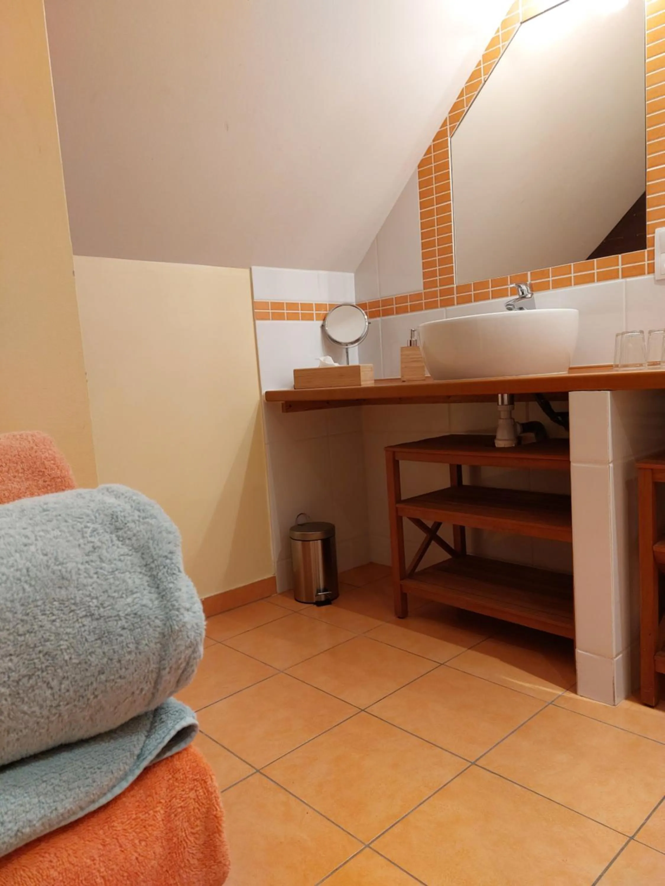 Bathroom in Traînefeuilles - Chambres d'hôtes proche Zoo de Beauval