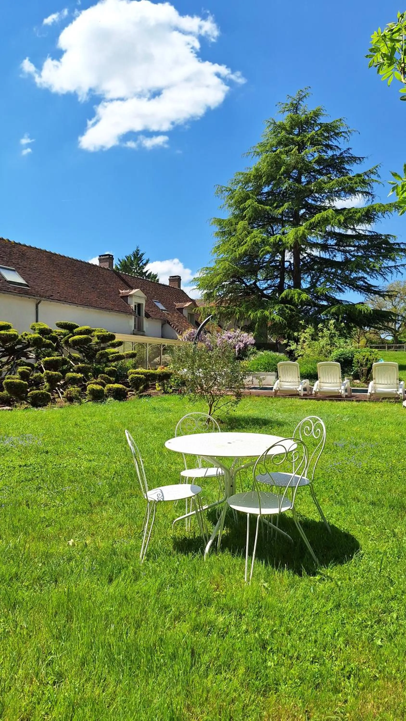 Traînefeuilles - Chambres d'hôtes proche Zoo de Beauval